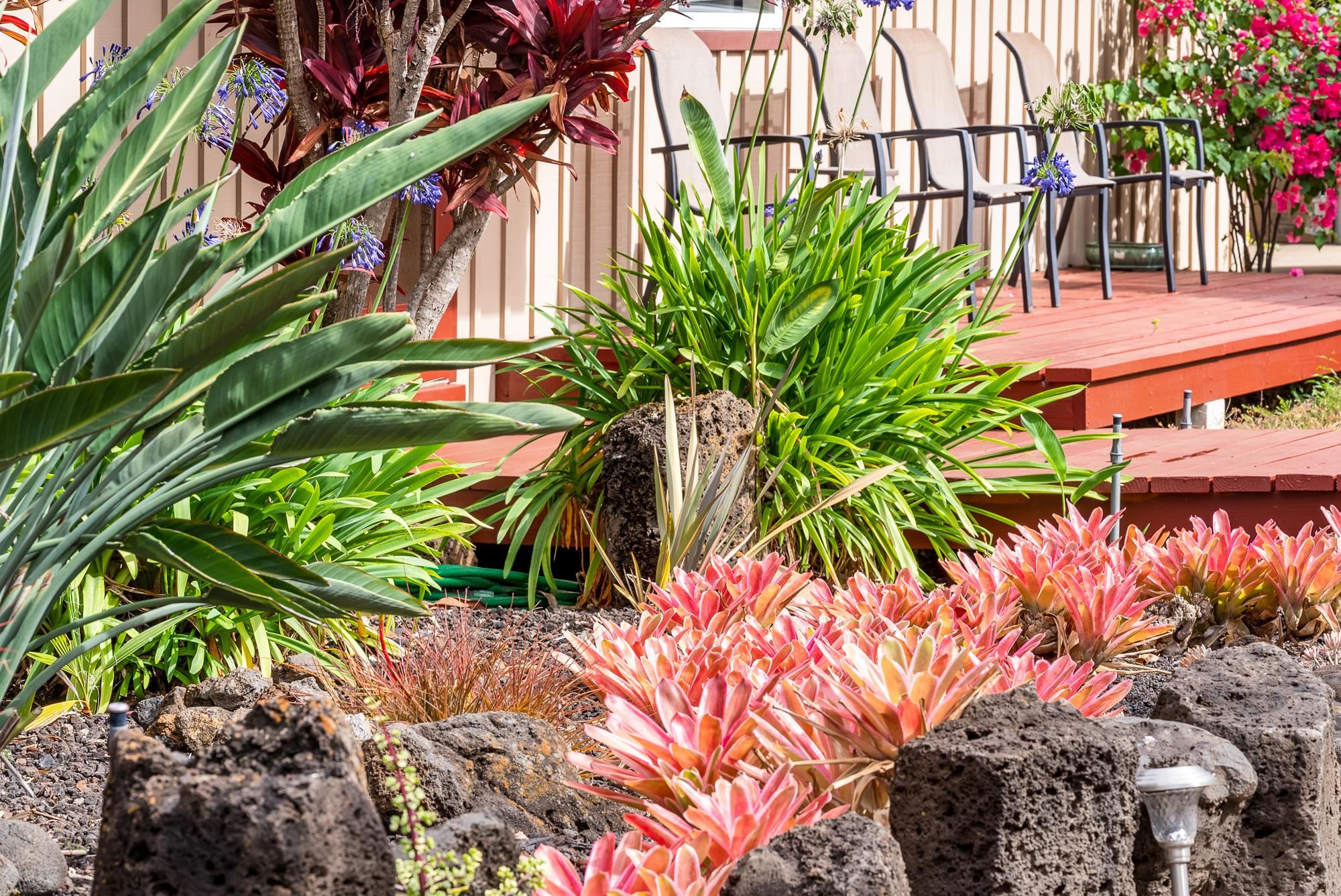 20  Pea Pl Kula Glen, Kula/Ulupalakua/Kanaio home - photo 42 of 49