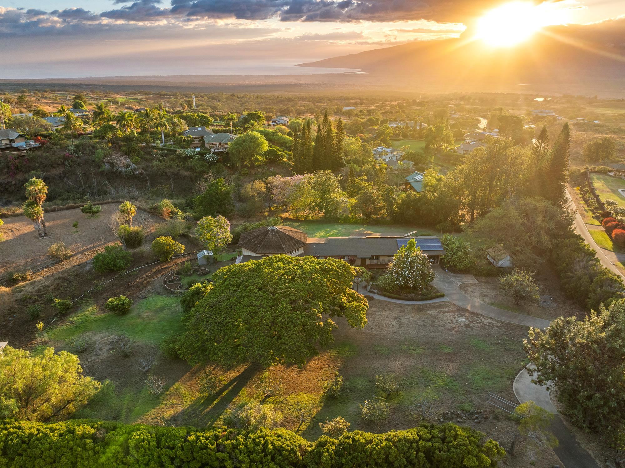 20  Pea Pl Kula Glen, Kula/Ulupalakua/Kanaio home - photo 47 of 49