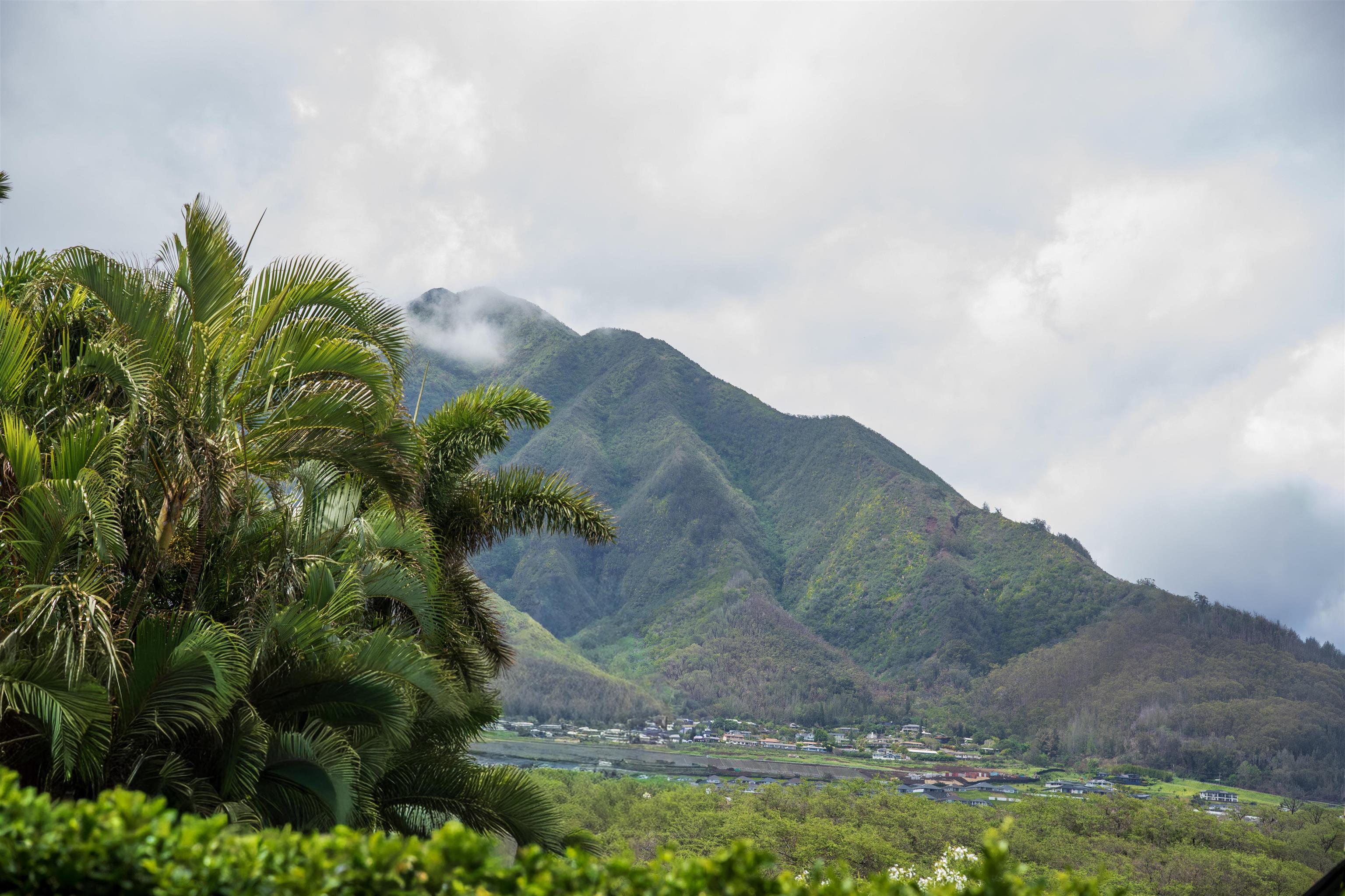 20  Pu'ukai Pl , Kahului home - photo 48 of 50