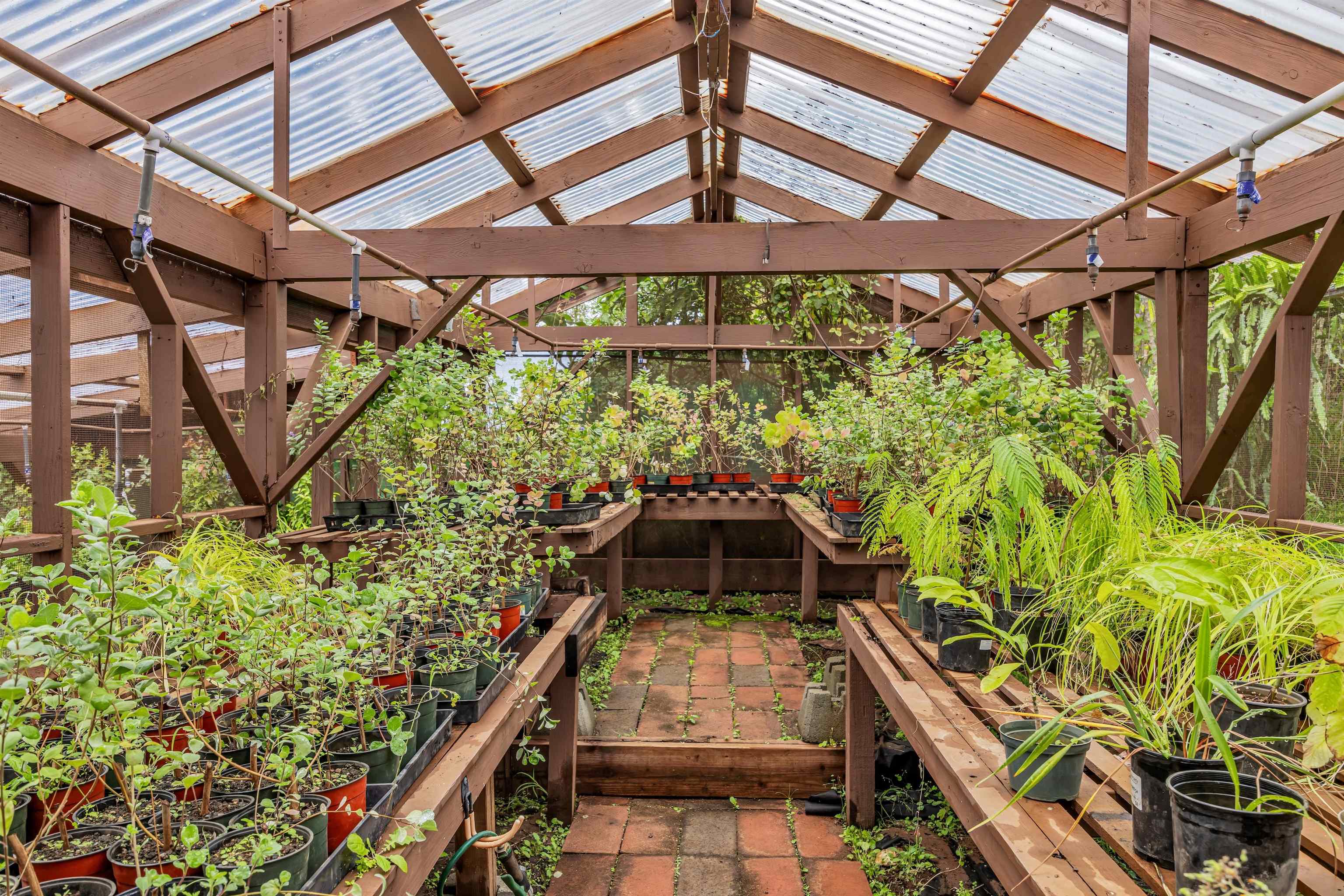 200  Hoopalua Dr Kula 200, Pukalani home - photo 41 of 50