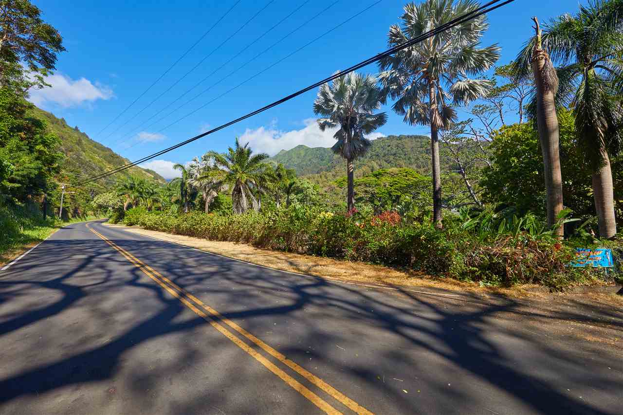 200 Iao Valley Rd  Wailuku, Hi vacant land for sale - photo 20 of 28