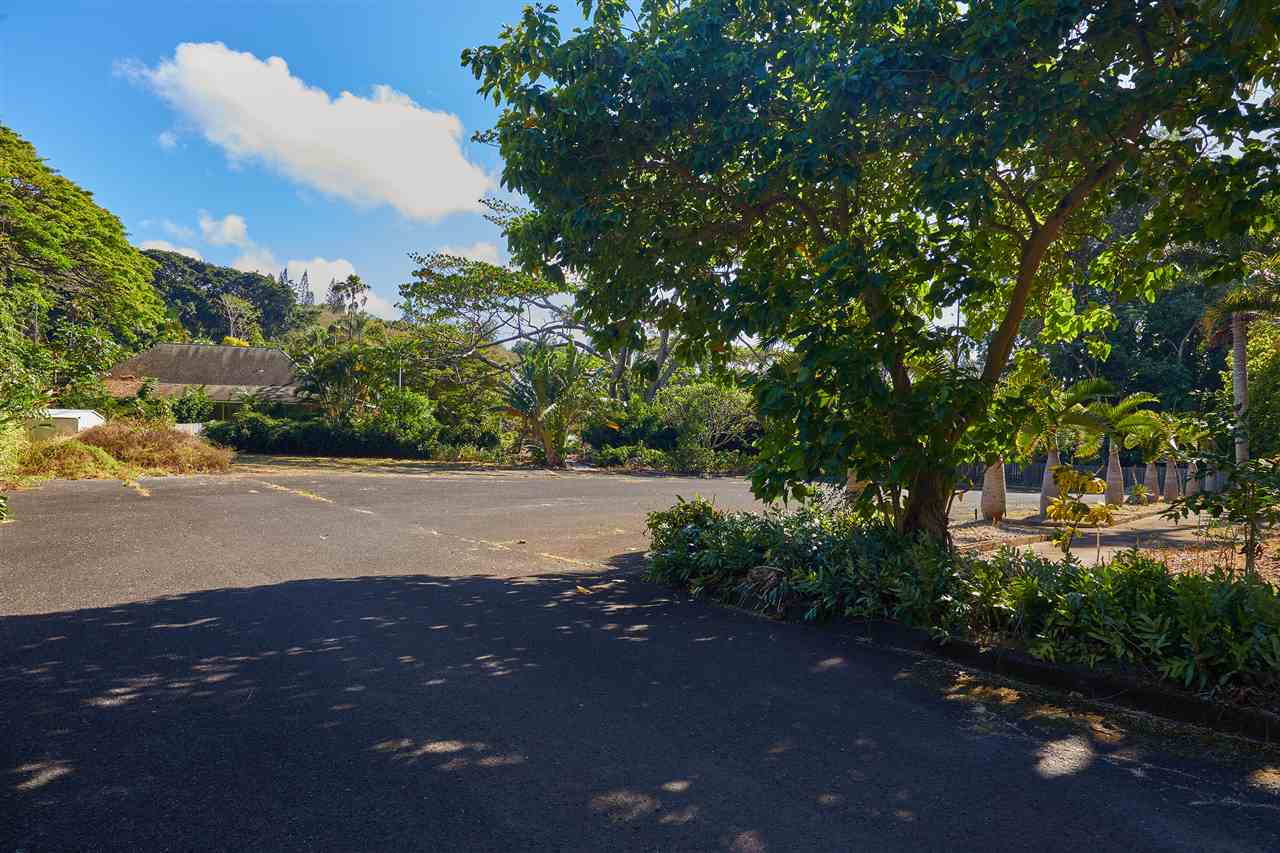 200 Iao Valley Rd  Wailuku, Hi vacant land for sale - photo 25 of 28