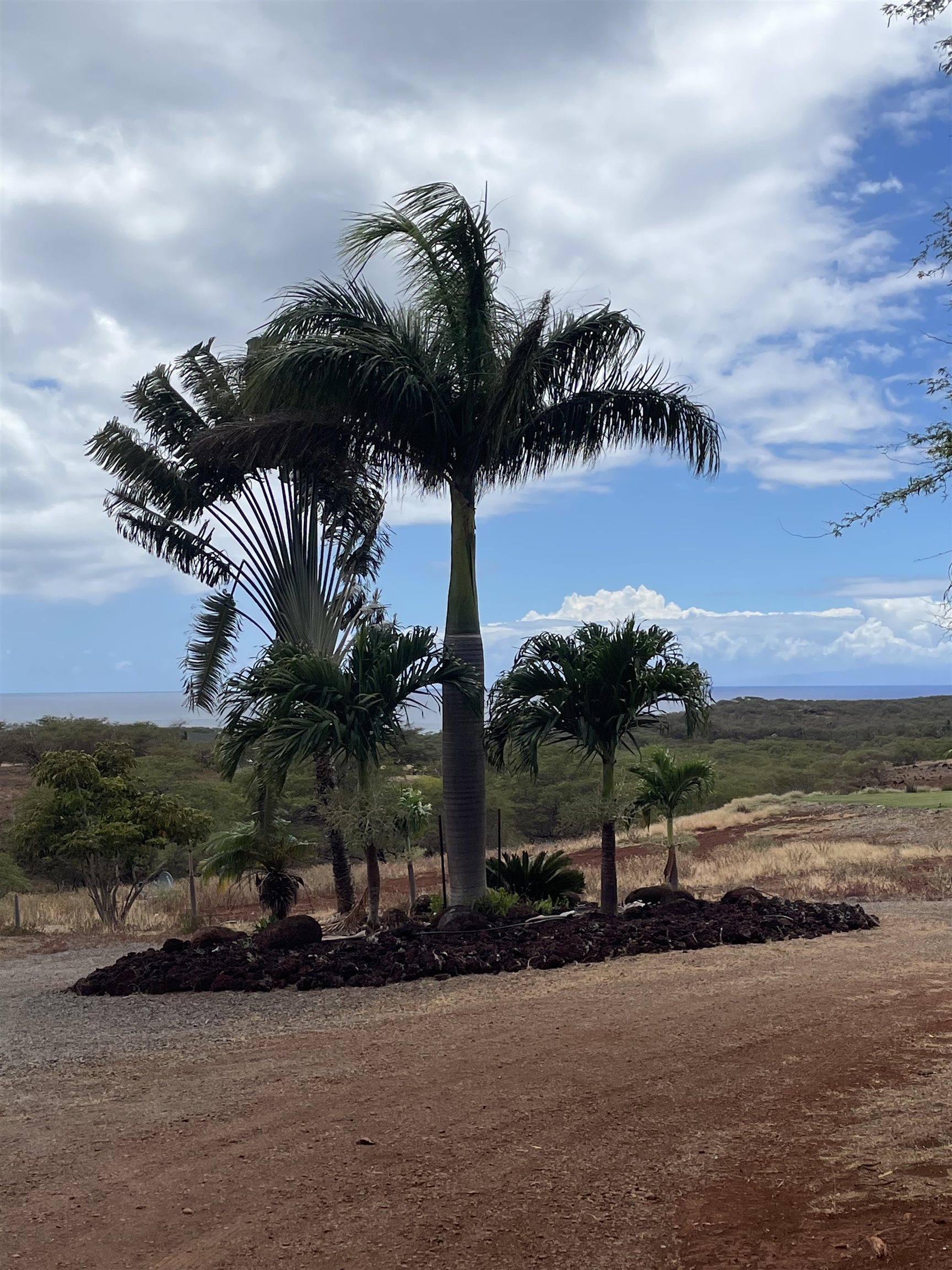 200/206  Awawa Rd , Molokai home - photo 22 of 25