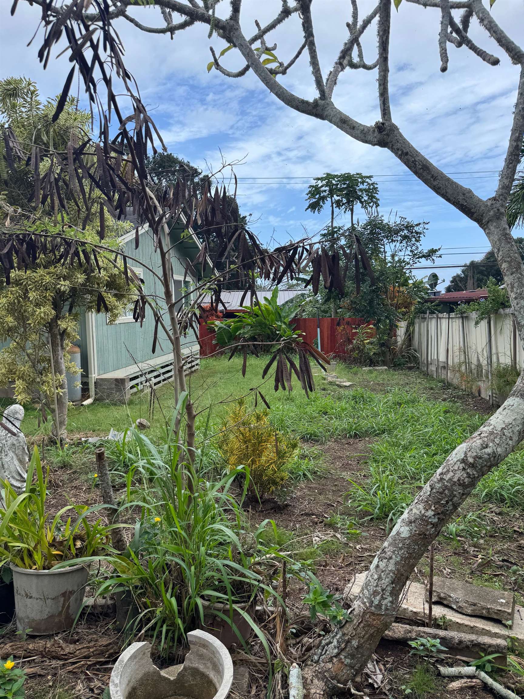 2003  Kahekili Hwy , Wailuku home - photo 16 of 41