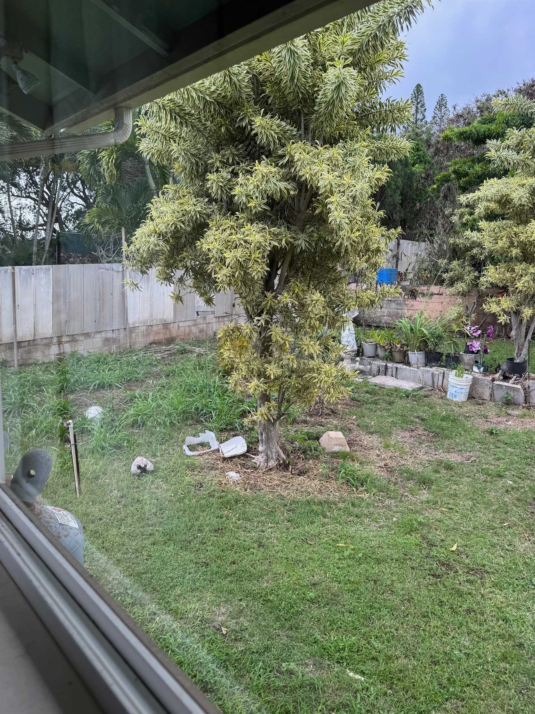 2003  Kahekili Hwy , Wailuku home - photo 7 of 41