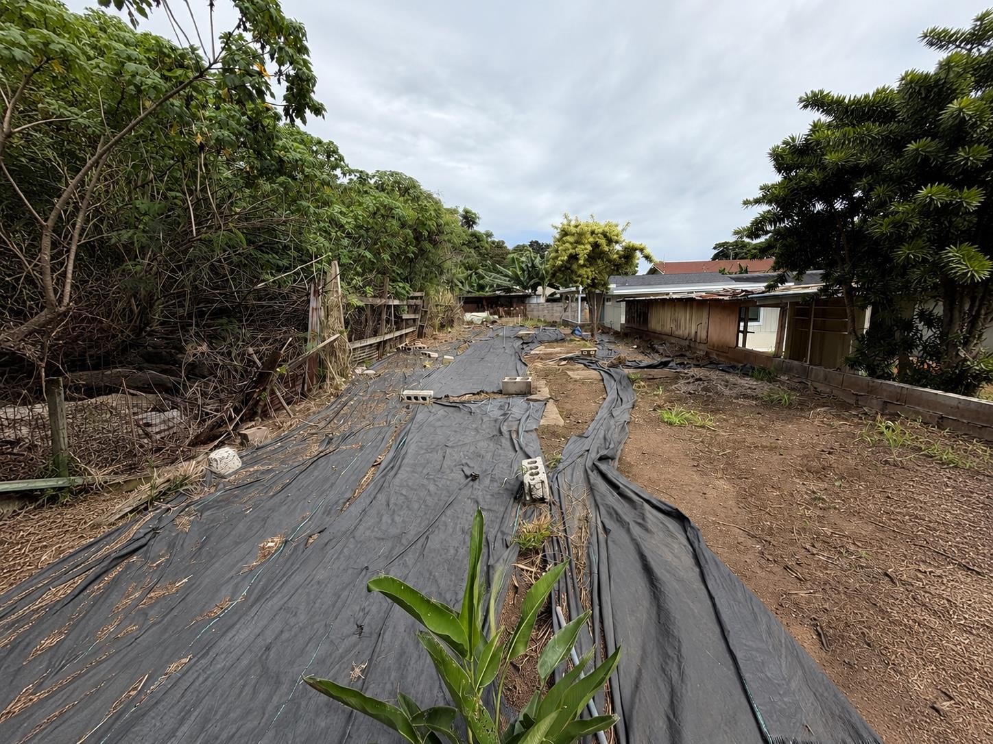 2003  Kahekili Hwy , Wailuku home - photo 45 of 48