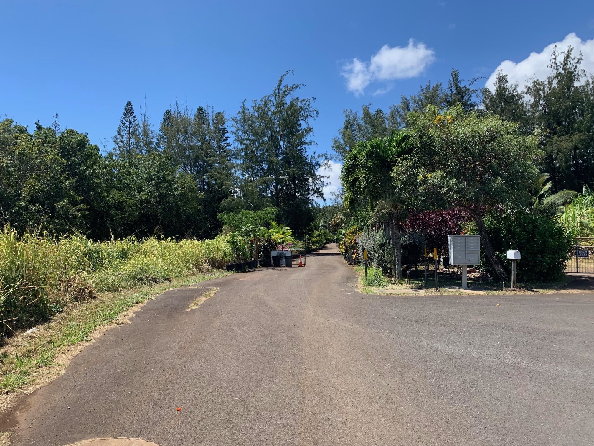 201 Heahea Pl 12 Wailuku, Hi vacant land for sale - photo 11 of 13
