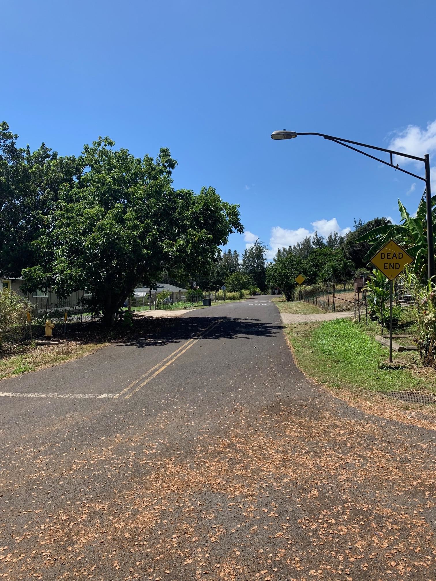 201 Heahea Pl 12 Wailuku, Hi vacant land for sale - photo 12 of 13