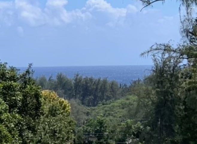 201 Heahea Pl 12 Wailuku, Hi vacant land for sale - photo 3 of 13