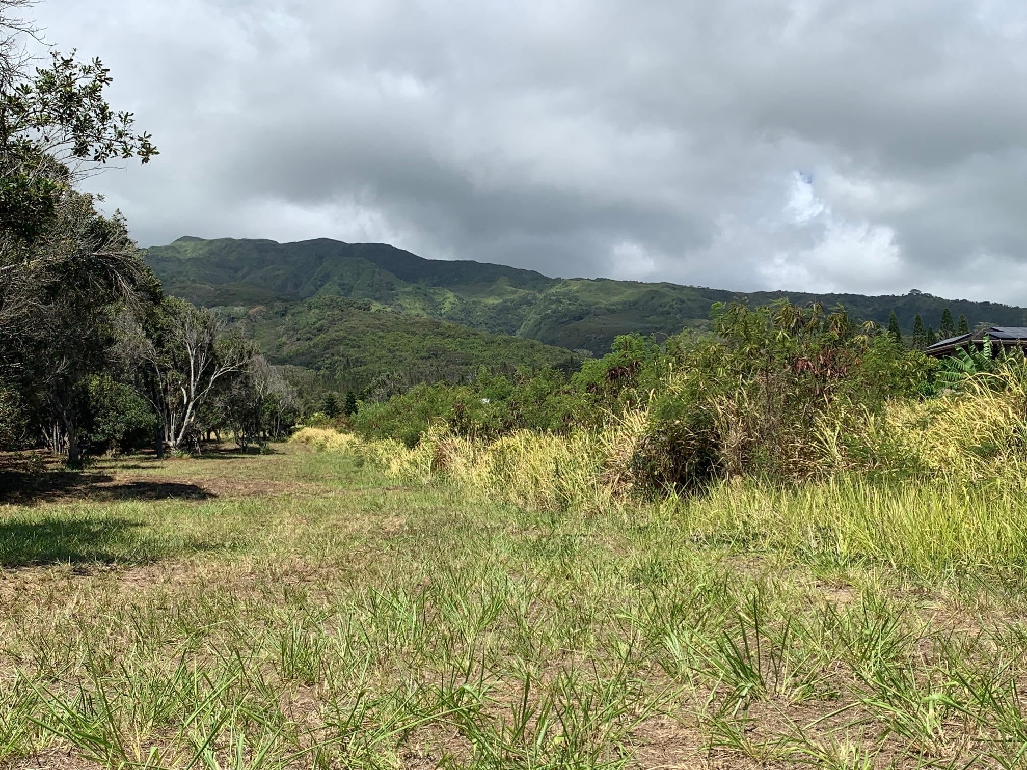 201 Heahea Pl 12 Wailuku, Hi vacant land for sale - photo 7 of 13