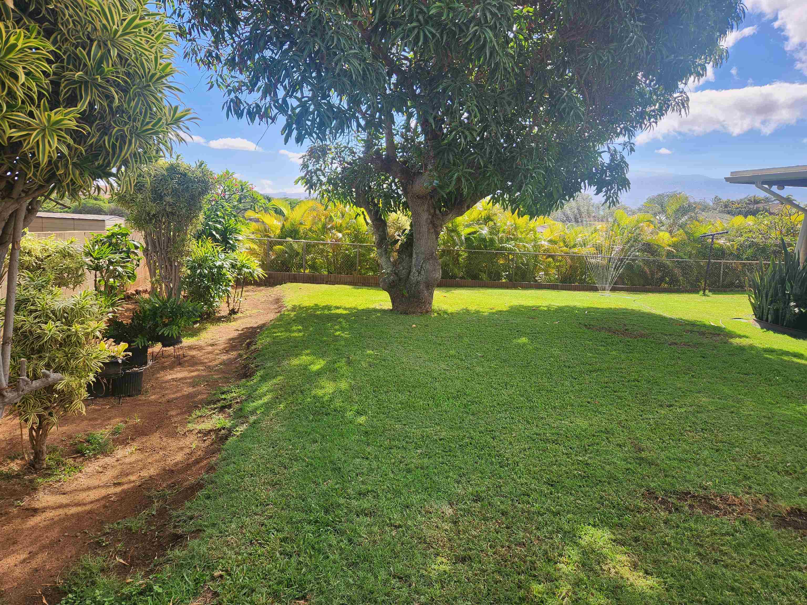 202  Nakoa Dr , Wailuku home - photo 19 of 21