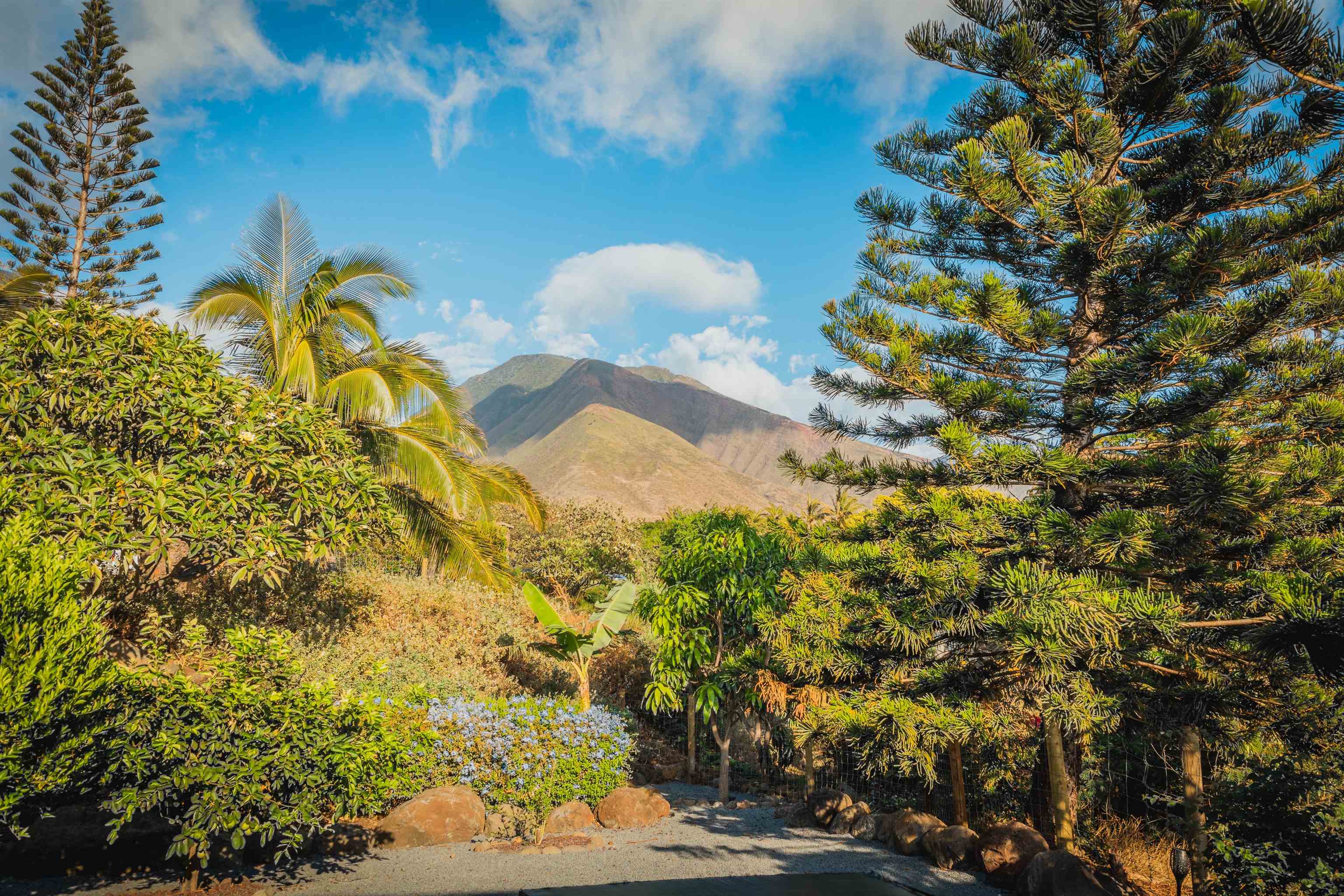 202  Paia Pohaku Pl Launiupoko, Lahaina home - photo 2 of 49