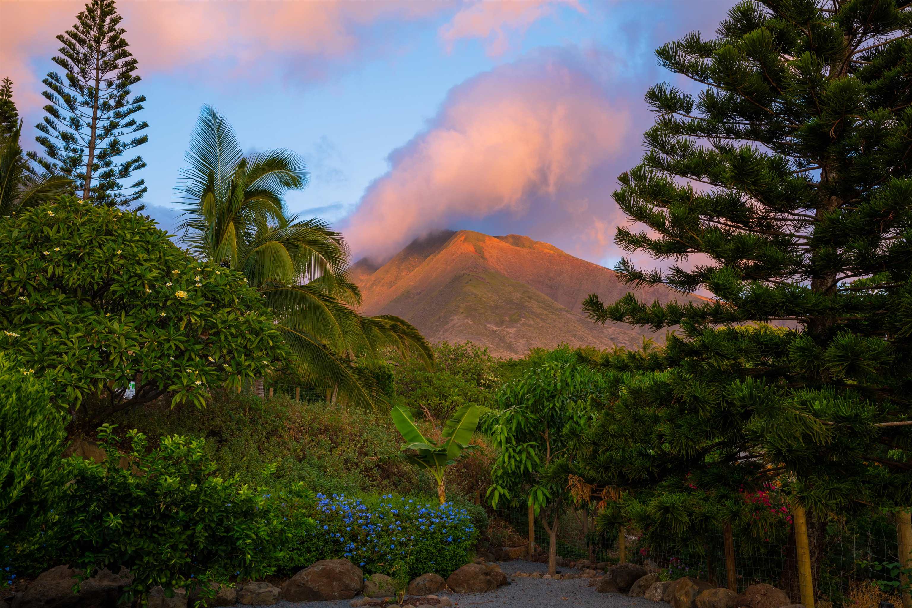 202  Paia Pohaku Pl Launiupoko, Lahaina home - photo 43 of 49