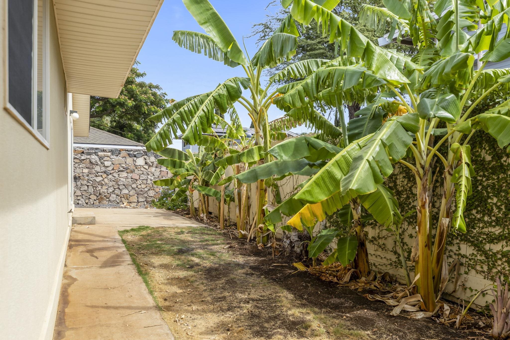 2021  Paulele Pl Kihei, Kihei home - photo 46 of 50
