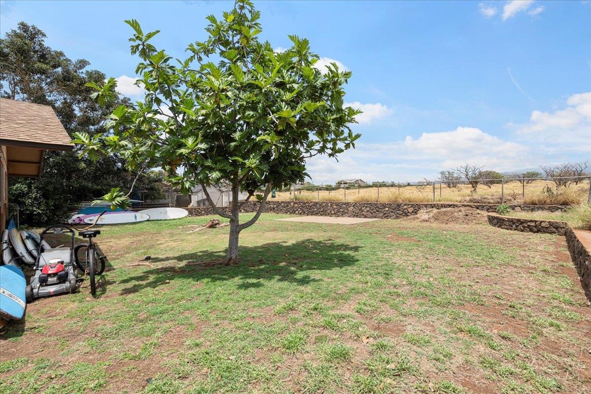 203  Hoalike St , Kihei home - photo 5 of 17