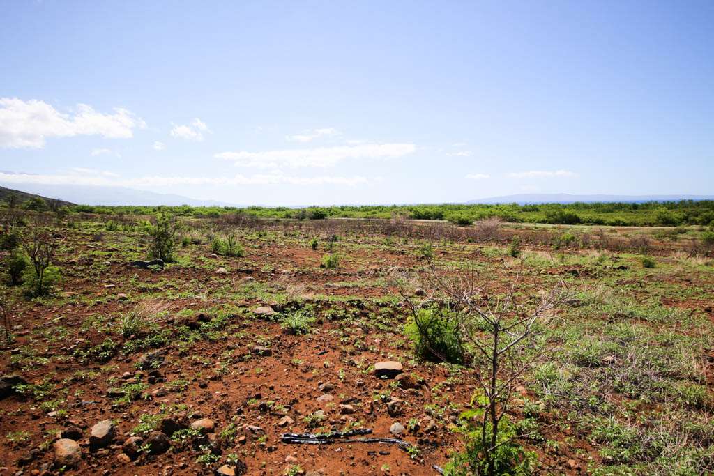 203 Paeki'i Pl  Lahaina, Hi vacant land for sale - photo 11 of 14