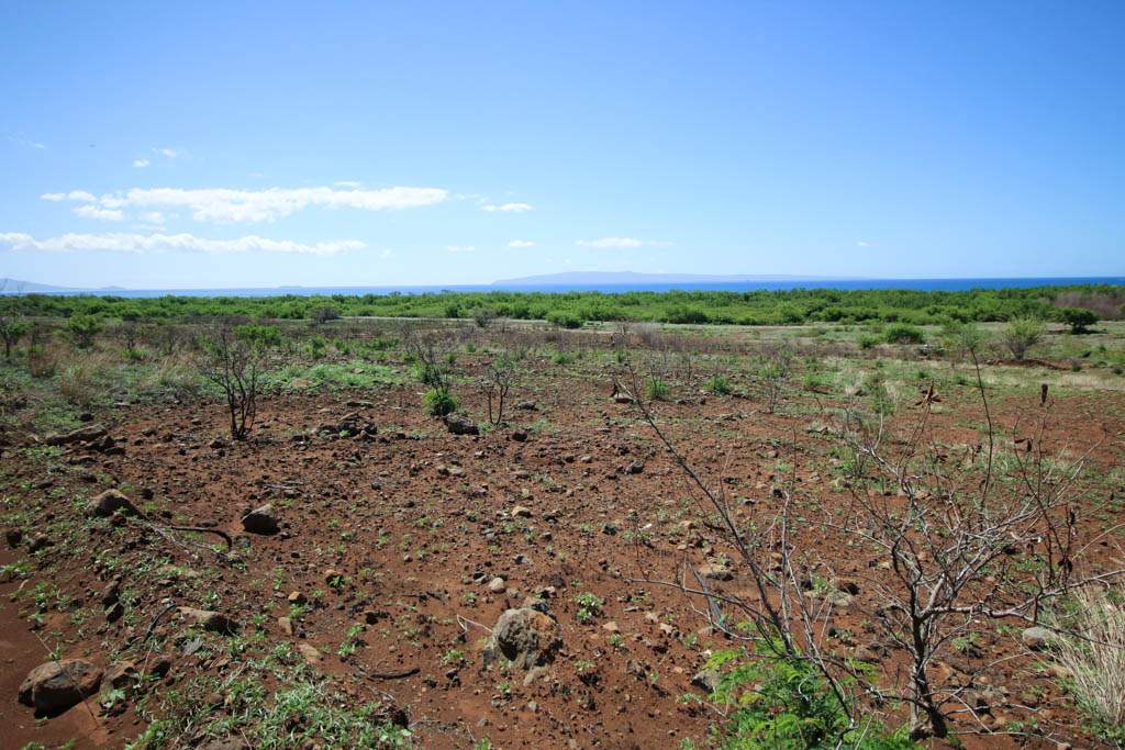 203 Paeki'i Pl  Lahaina, Hi vacant land for sale - photo 10 of 14