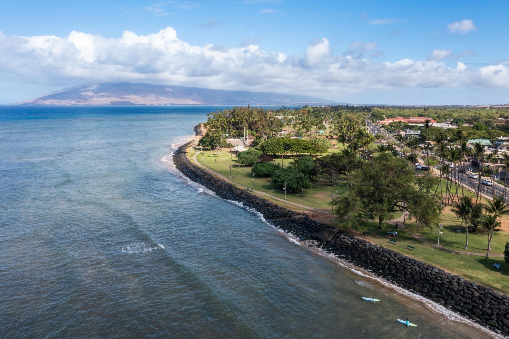 Kihei Parkshore condo # 16, Kihei, Hawaii - photo 36 of 45