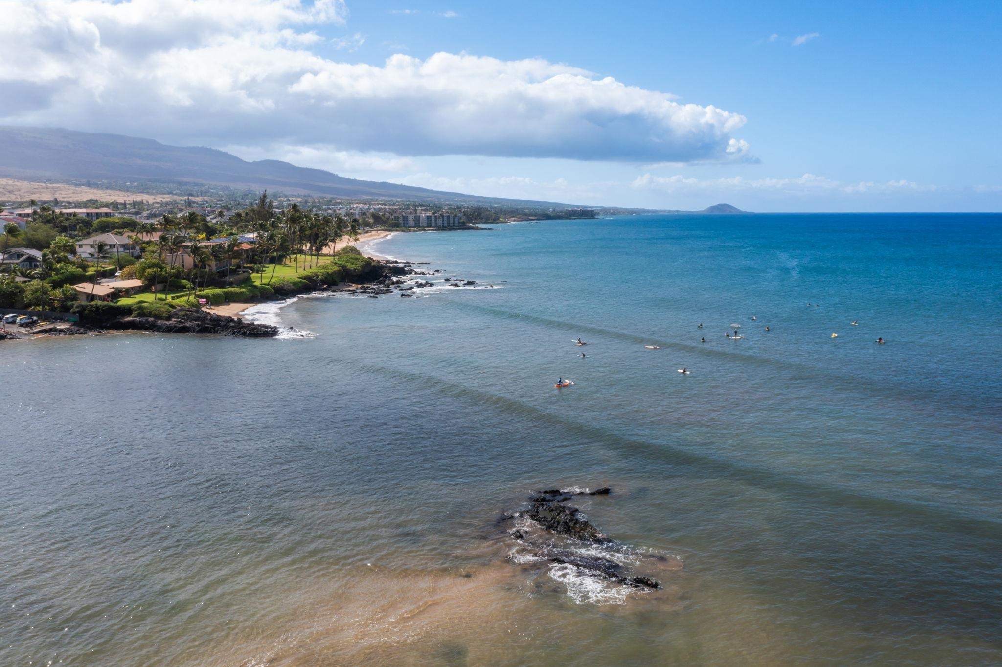 Kihei Parkshore condo # 16, Kihei, Hawaii - photo 37 of 45