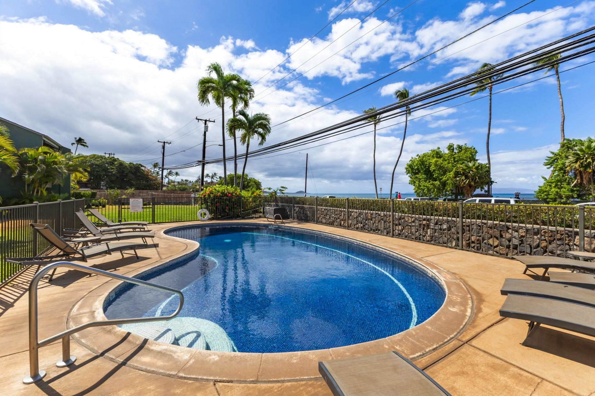 Kihei Parkshore condo # 16, Kihei, Hawaii - photo 43 of 45