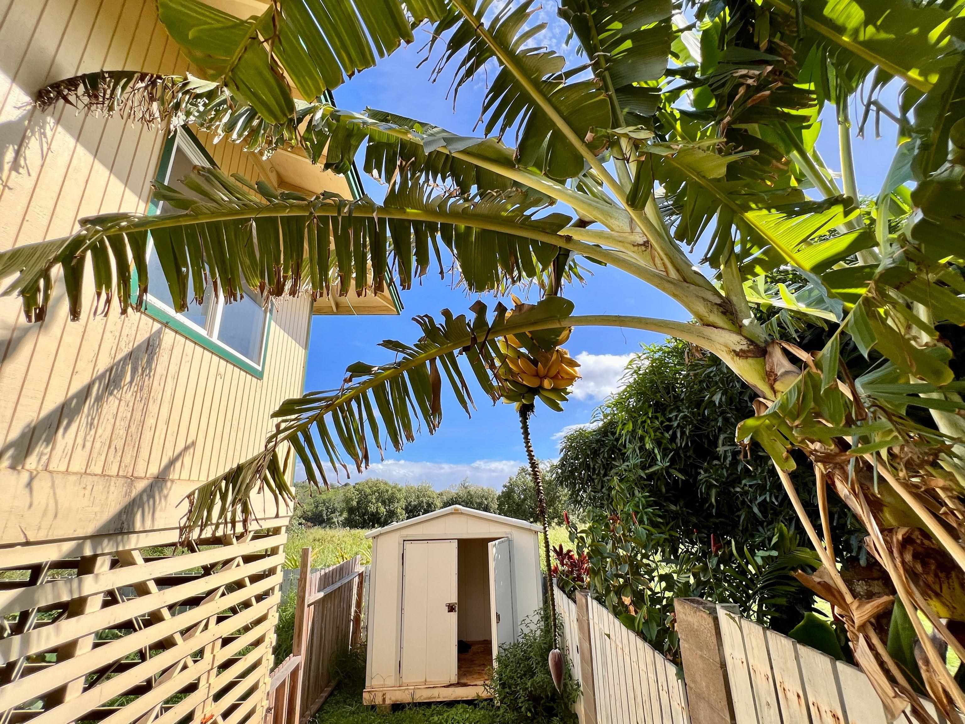 2042  Kahekili Hwy , Wailuku home - photo 20 of 28