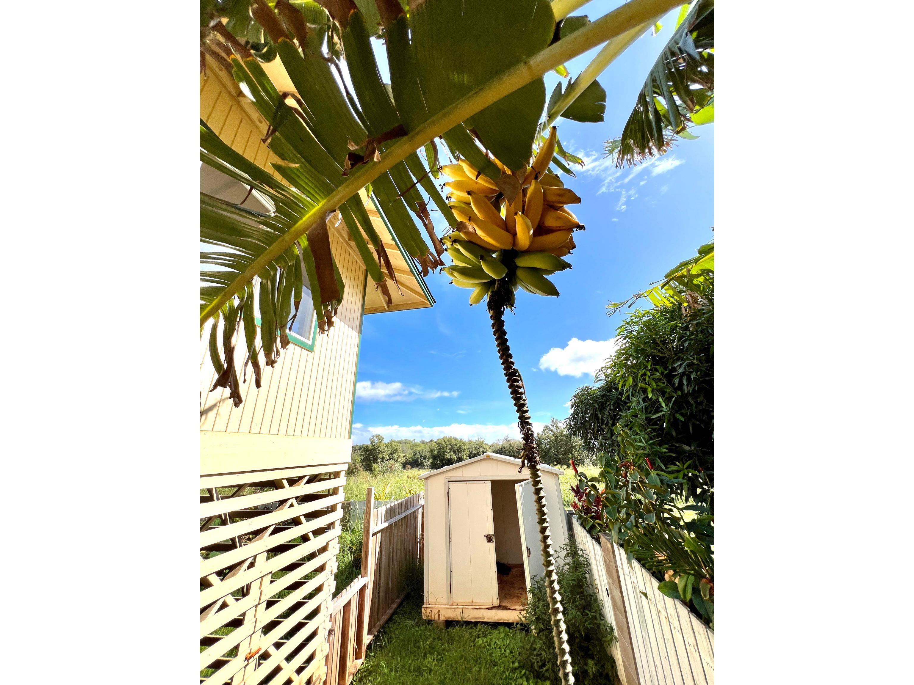 2042  Kahekili Hwy , Wailuku home - photo 22 of 28