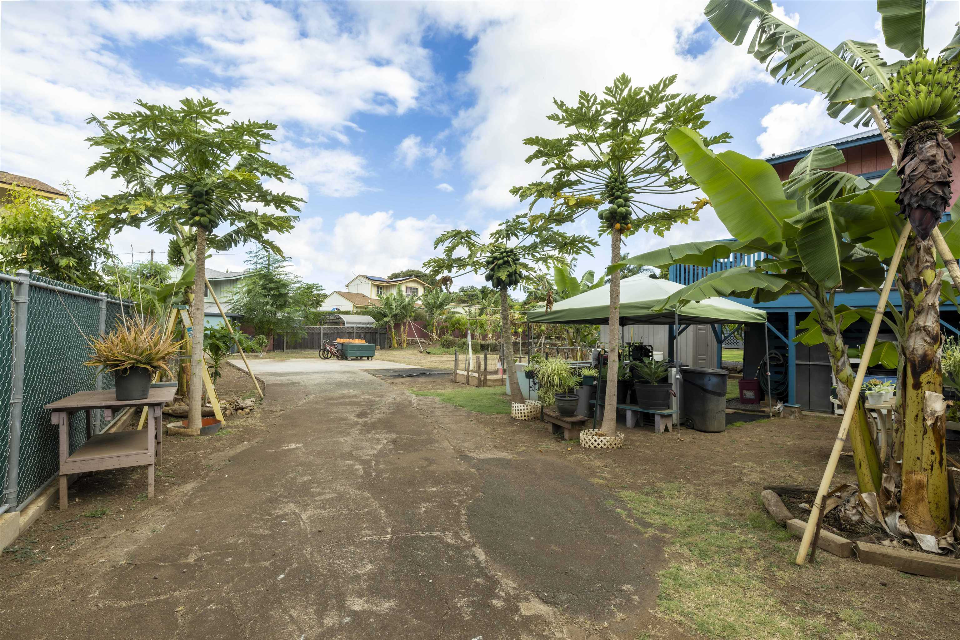 2047  Mokuhau Rd , Wailuku home - photo 30 of 34