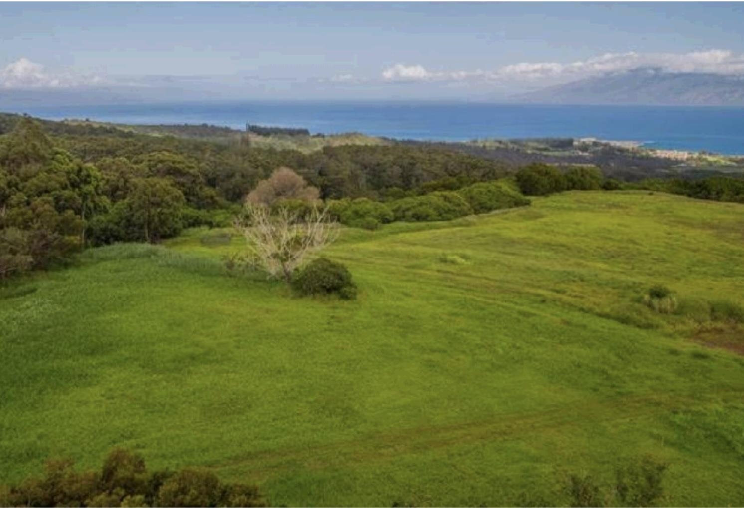 205 Keoawa St Lot 7 Lahaina, Hi vacant land for sale - photo 2 of 13