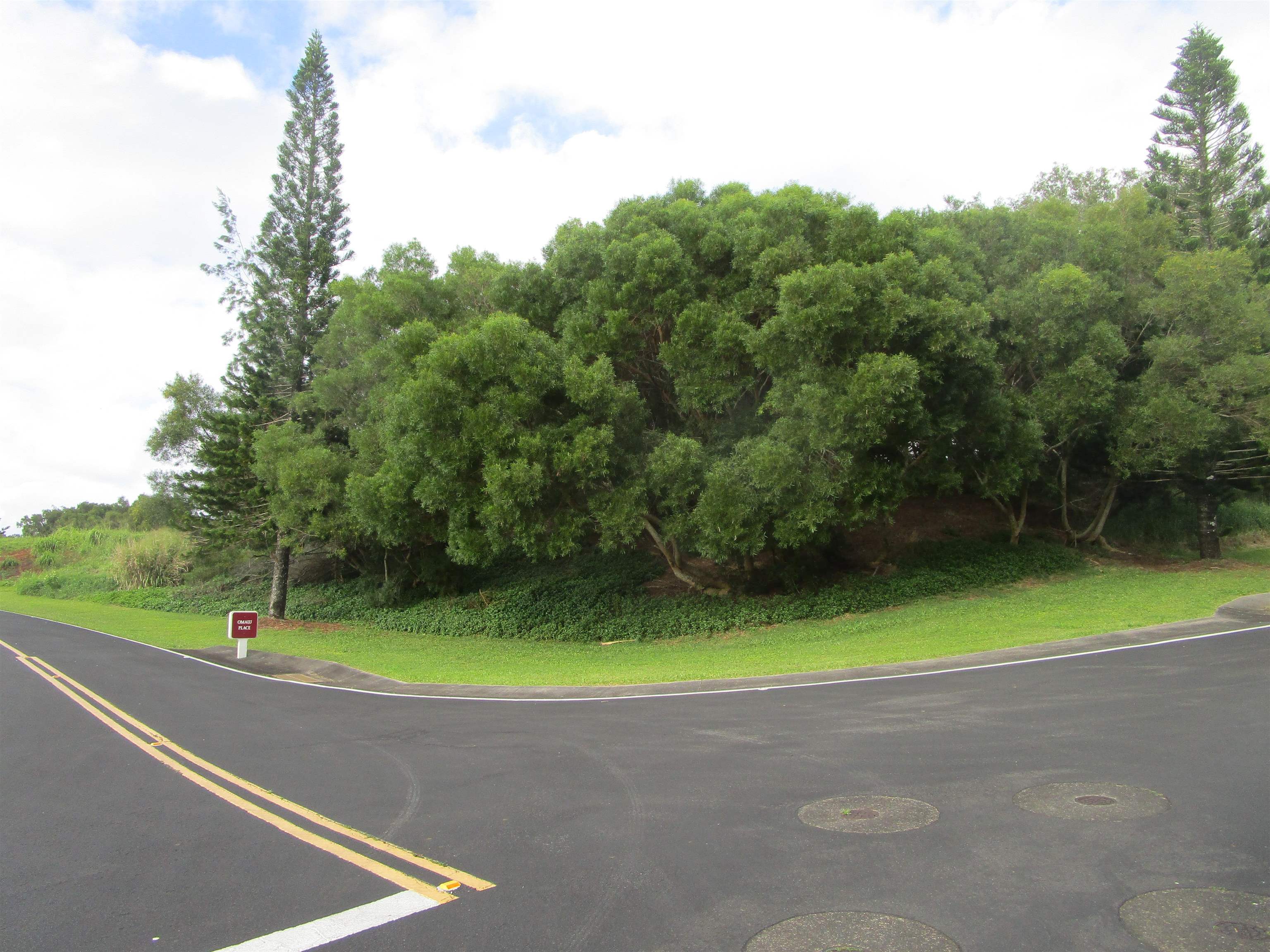 205 Keoawa St Lot 7 Lahaina, Hi vacant land for sale - photo 5 of 13