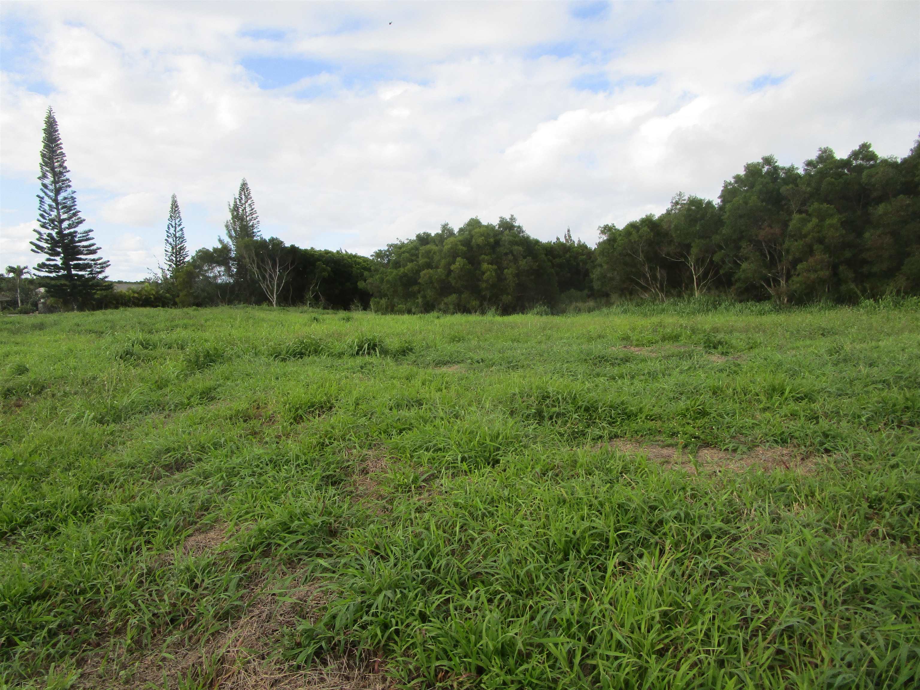 205 Keoawa St Lot 7 Lahaina, Hi vacant land for sale - photo 10 of 13