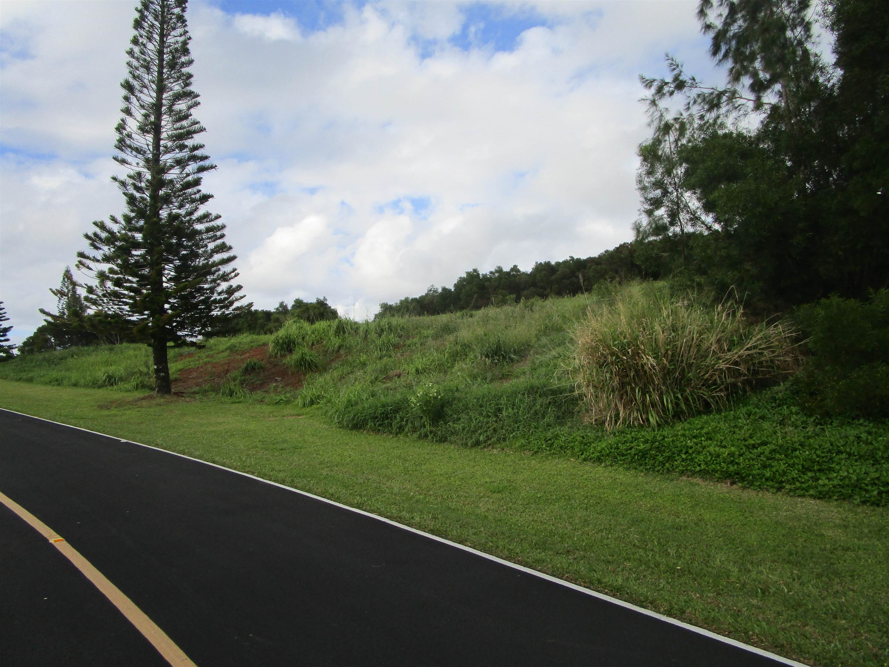 205 Keoawa St Lot 7 Lahaina, Hi vacant land for sale - photo 14 of 15
