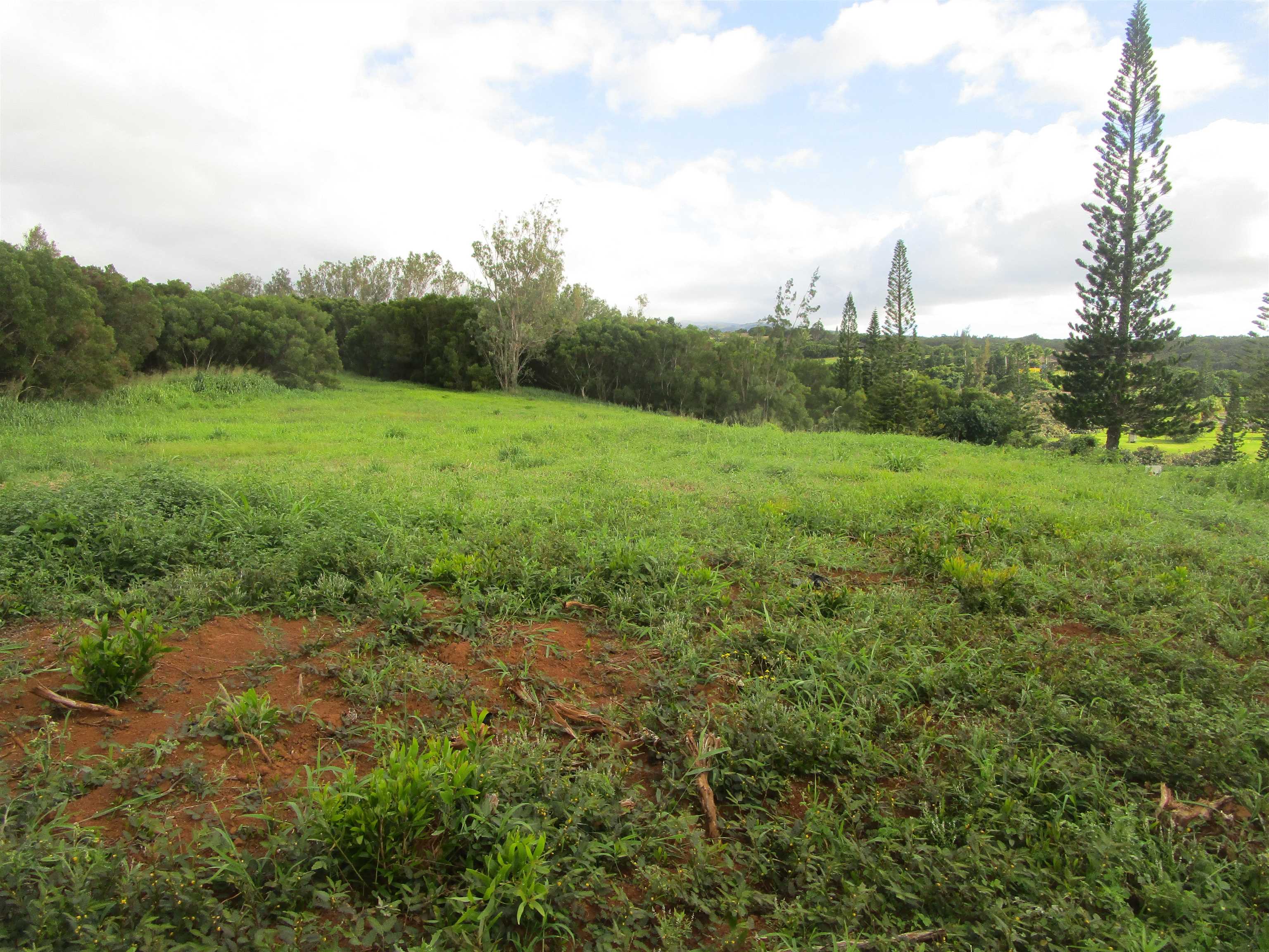 205 Keoawa St Lot 7 Lahaina, Hi vacant land for sale - photo 8 of 15