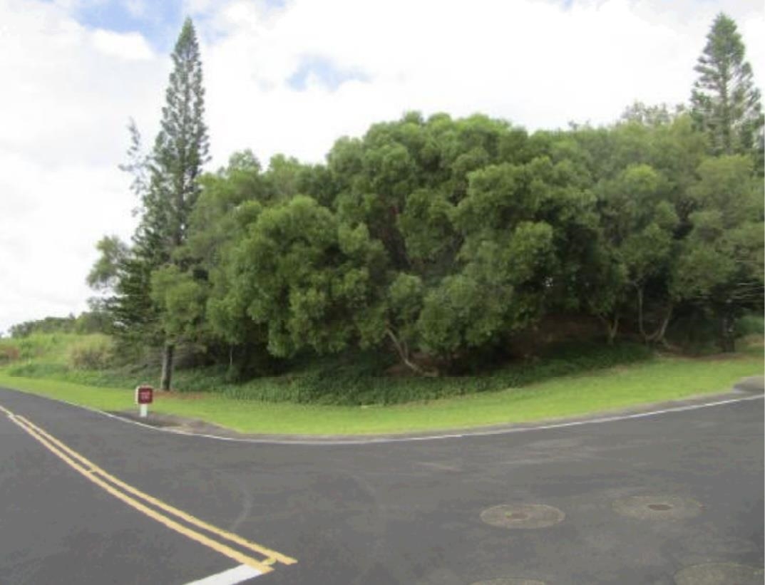 205 Keoawa St Lot 7 Lahaina, Hi vacant land for sale - photo 10 of 15