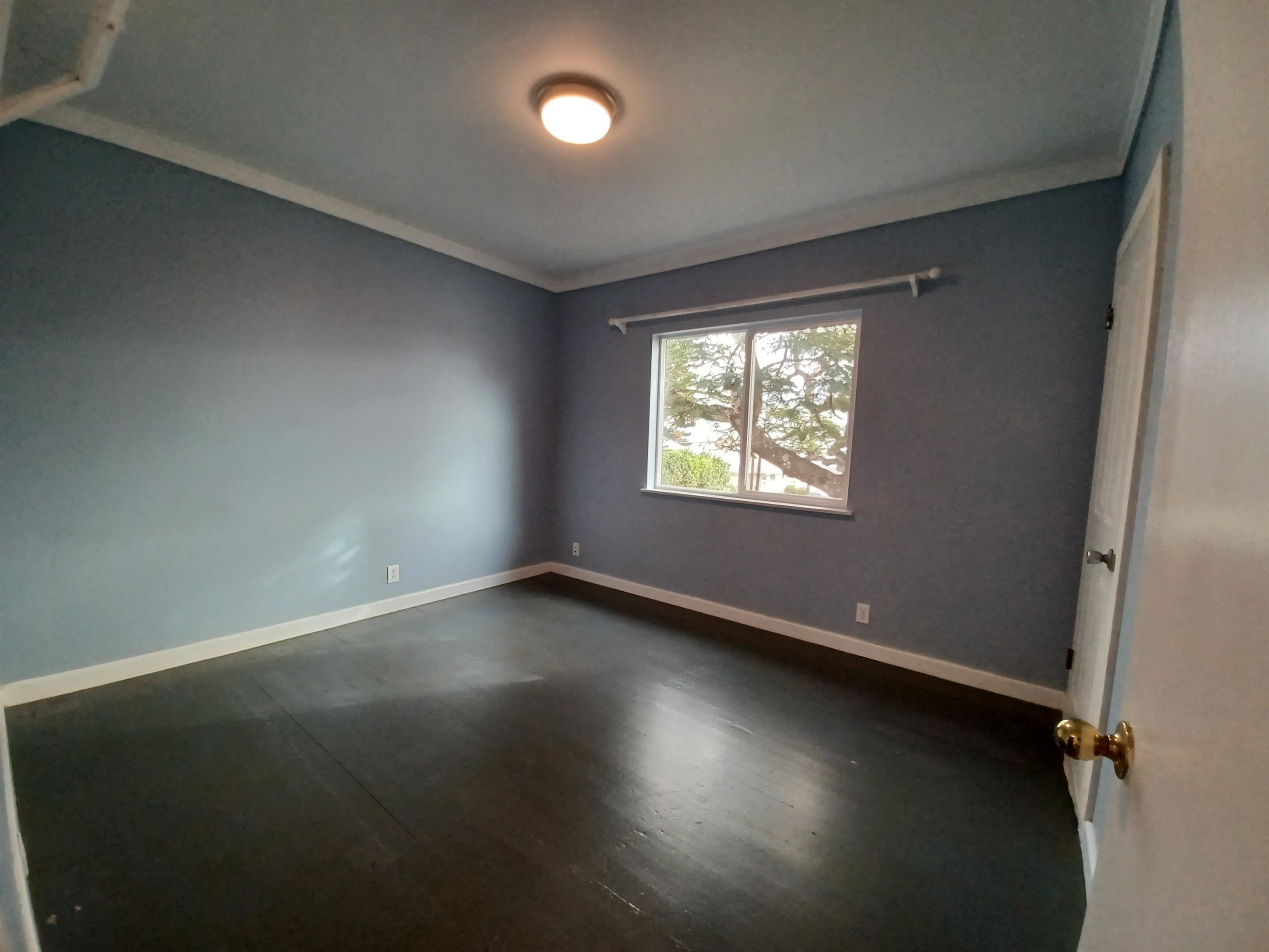 205  Naniloa Dr Sandhills, Wailuku home - photo 6 of 12