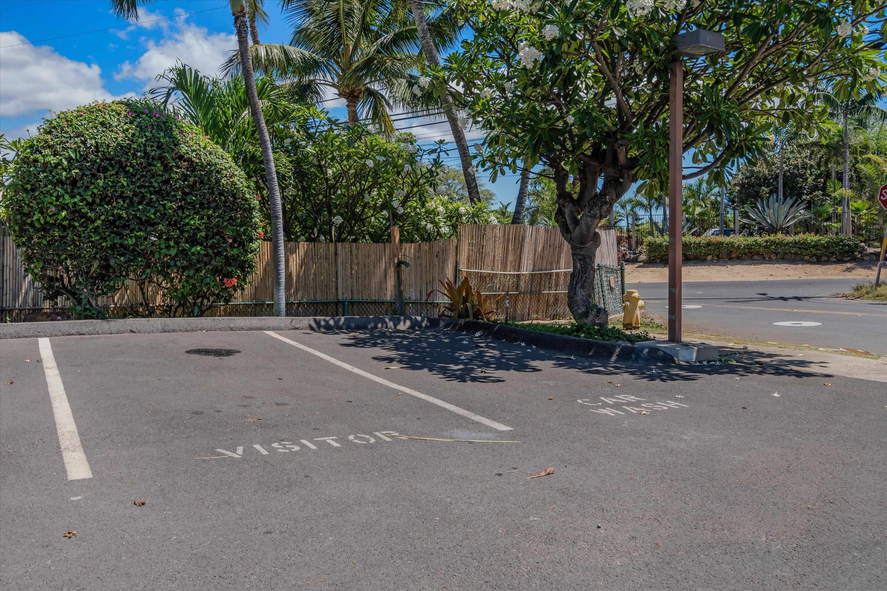 Kanoe Apts condo # 203, Kihei, Hawaii - photo 26 of 37