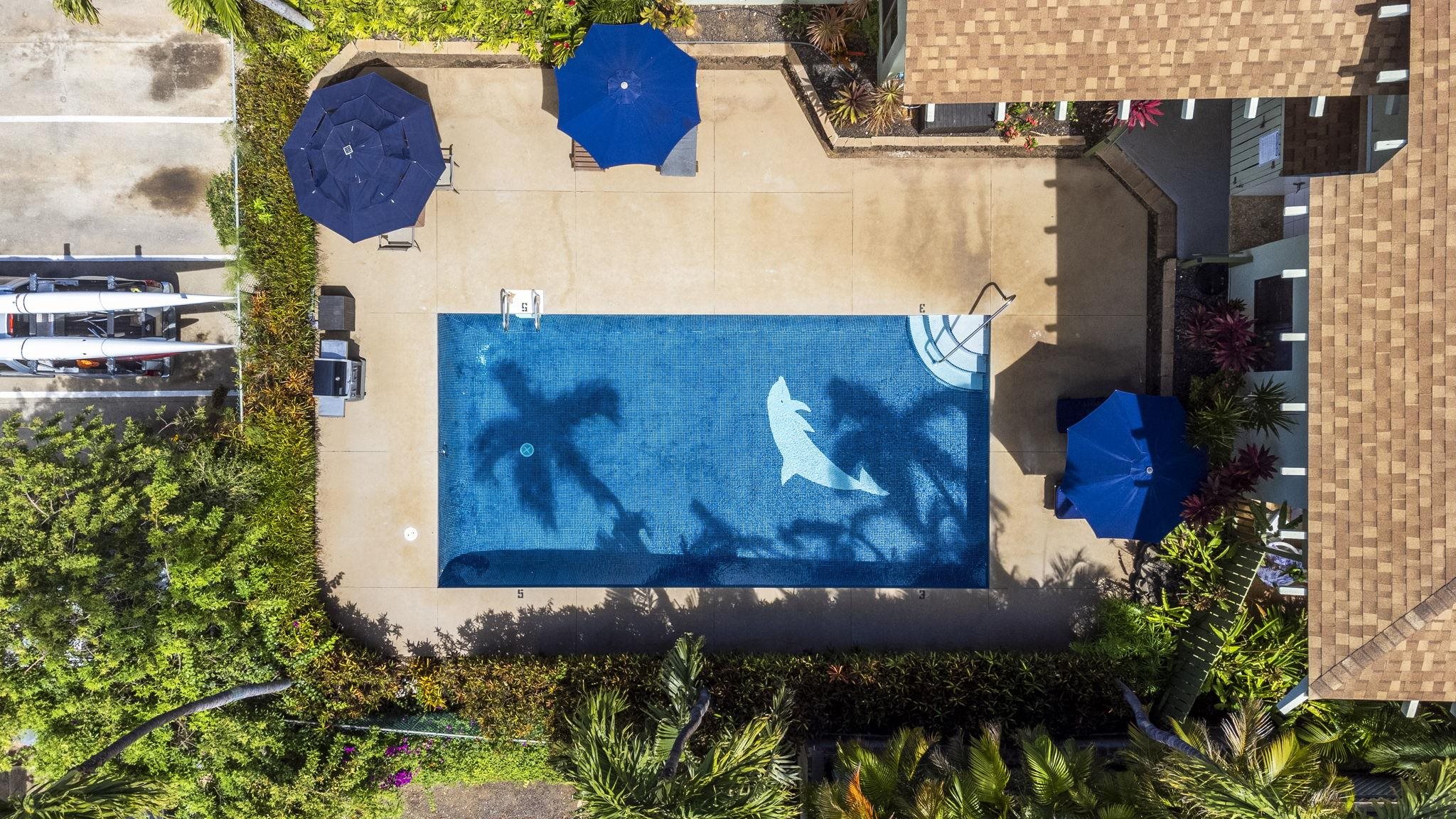 Kanoe Apts condo # 208, Kihei, Hawaii - photo 31 of 36