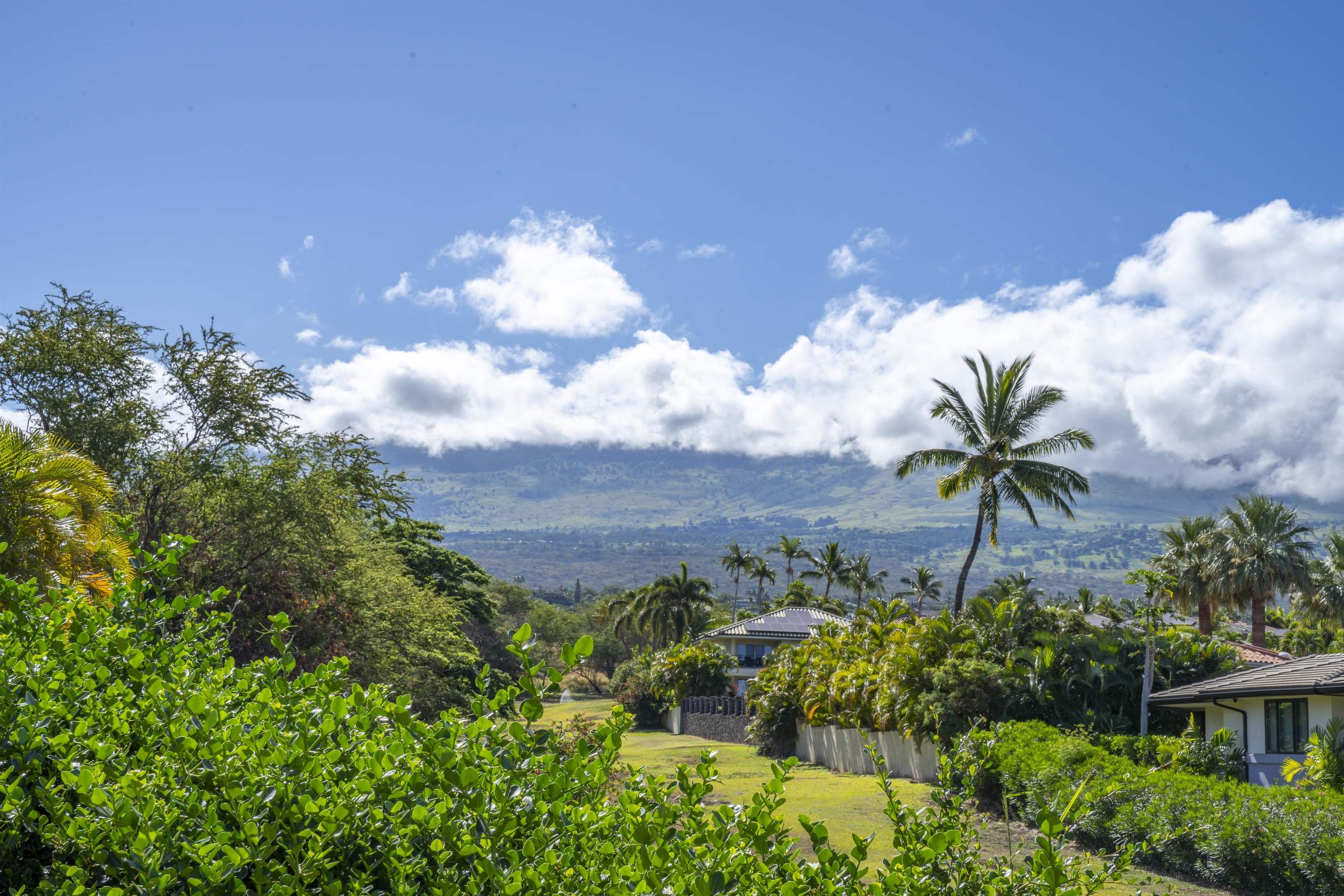206  Heleuma Pl Wailea, Wailea/Makena home - photo 26 of 50