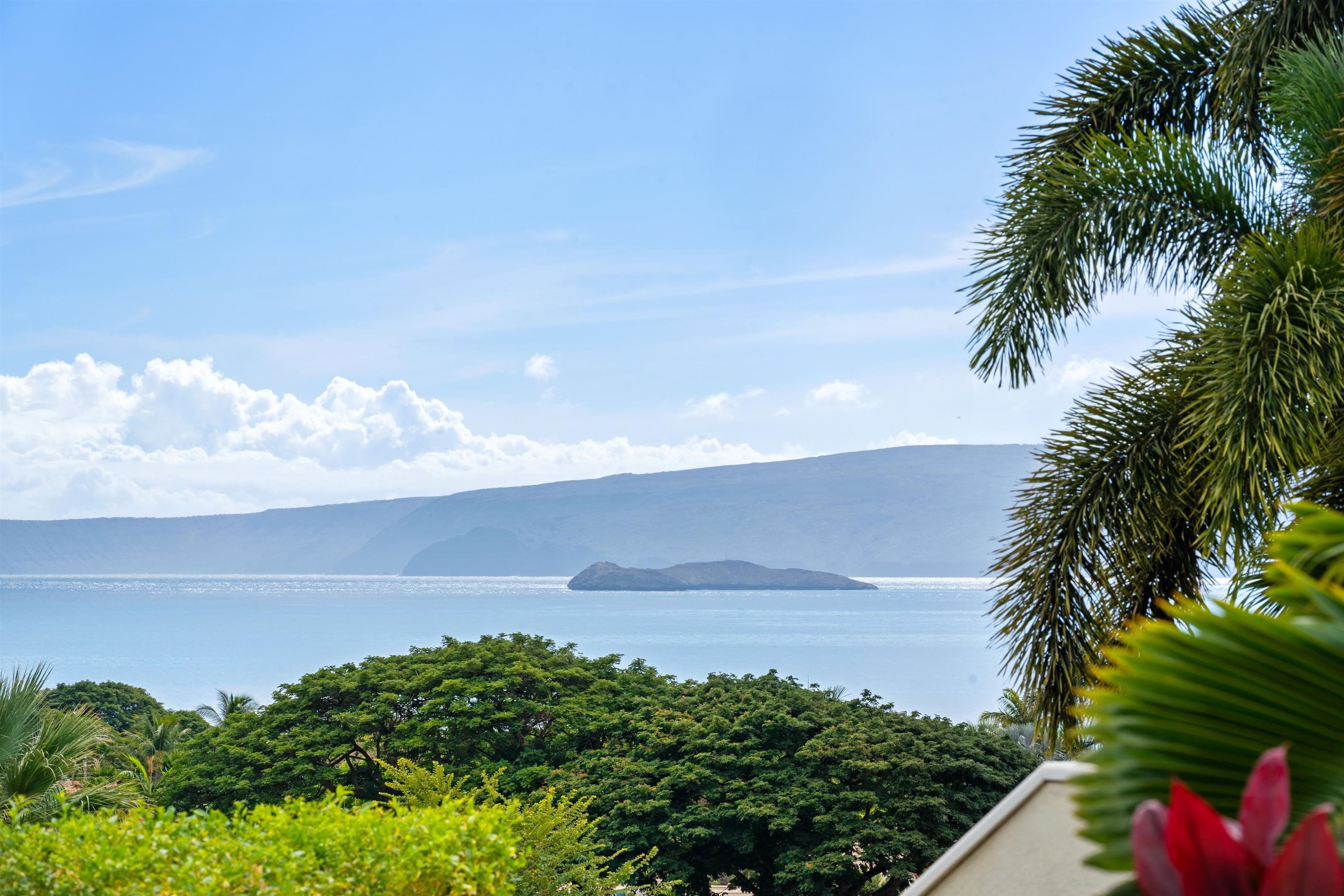 206  Heleuma Pl Wailea, Wailea/Makena home - photo 5 of 50