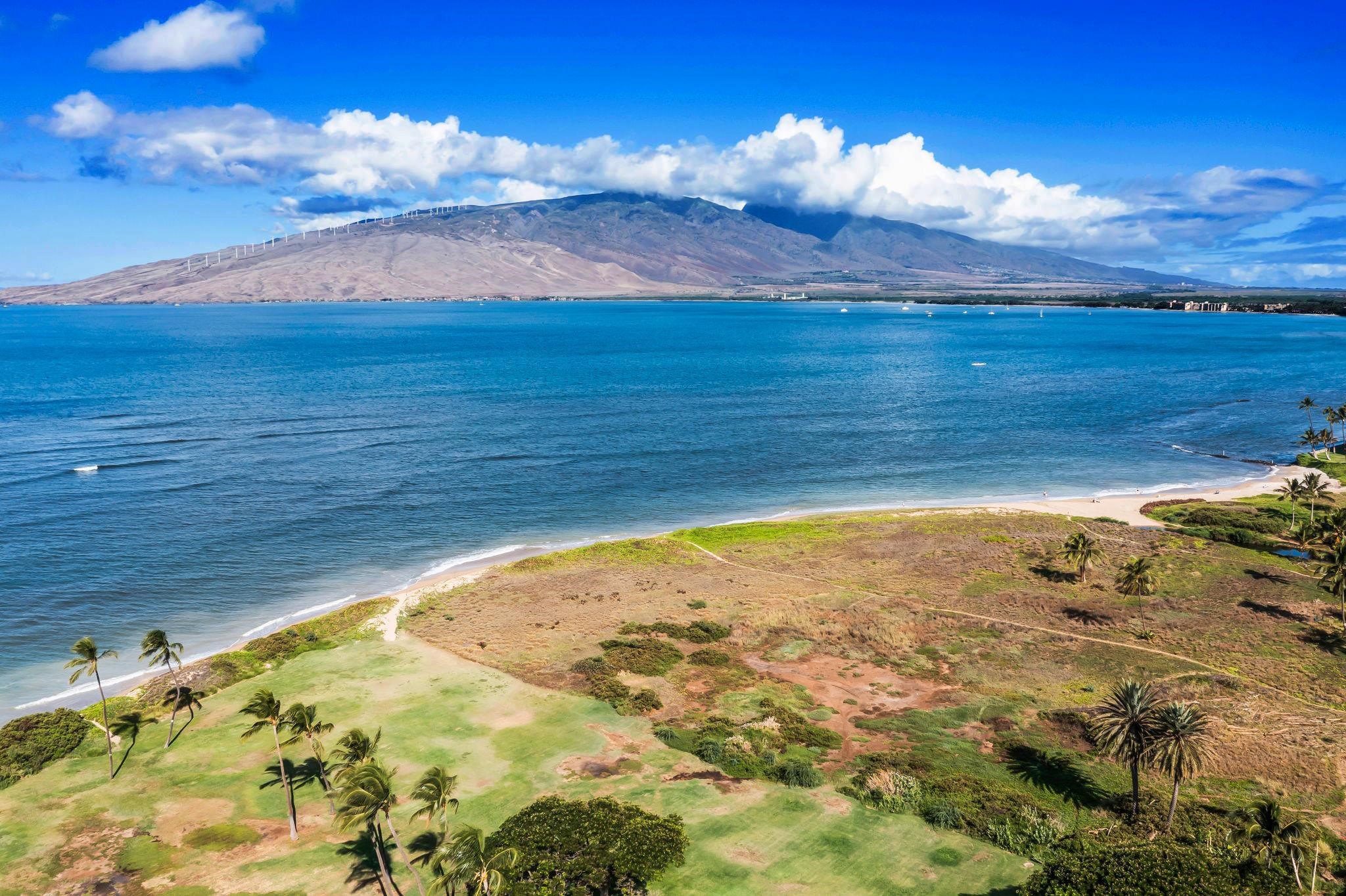 206  Oluea Cir Kamali'i Alayna, Kihei home - photo 49 of 50