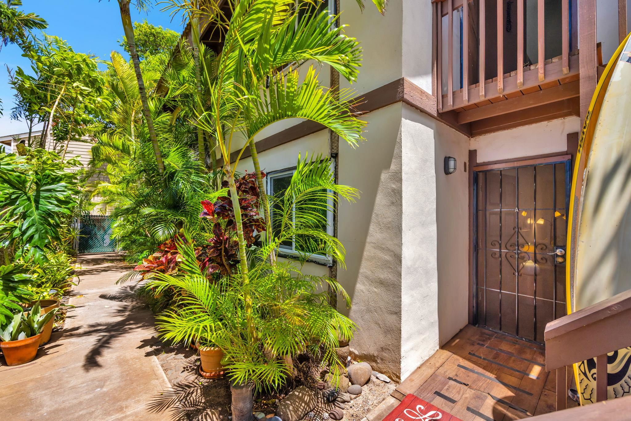 Kanoelani Apts condo # A, Kihei, Hawaii - photo 19 of 24