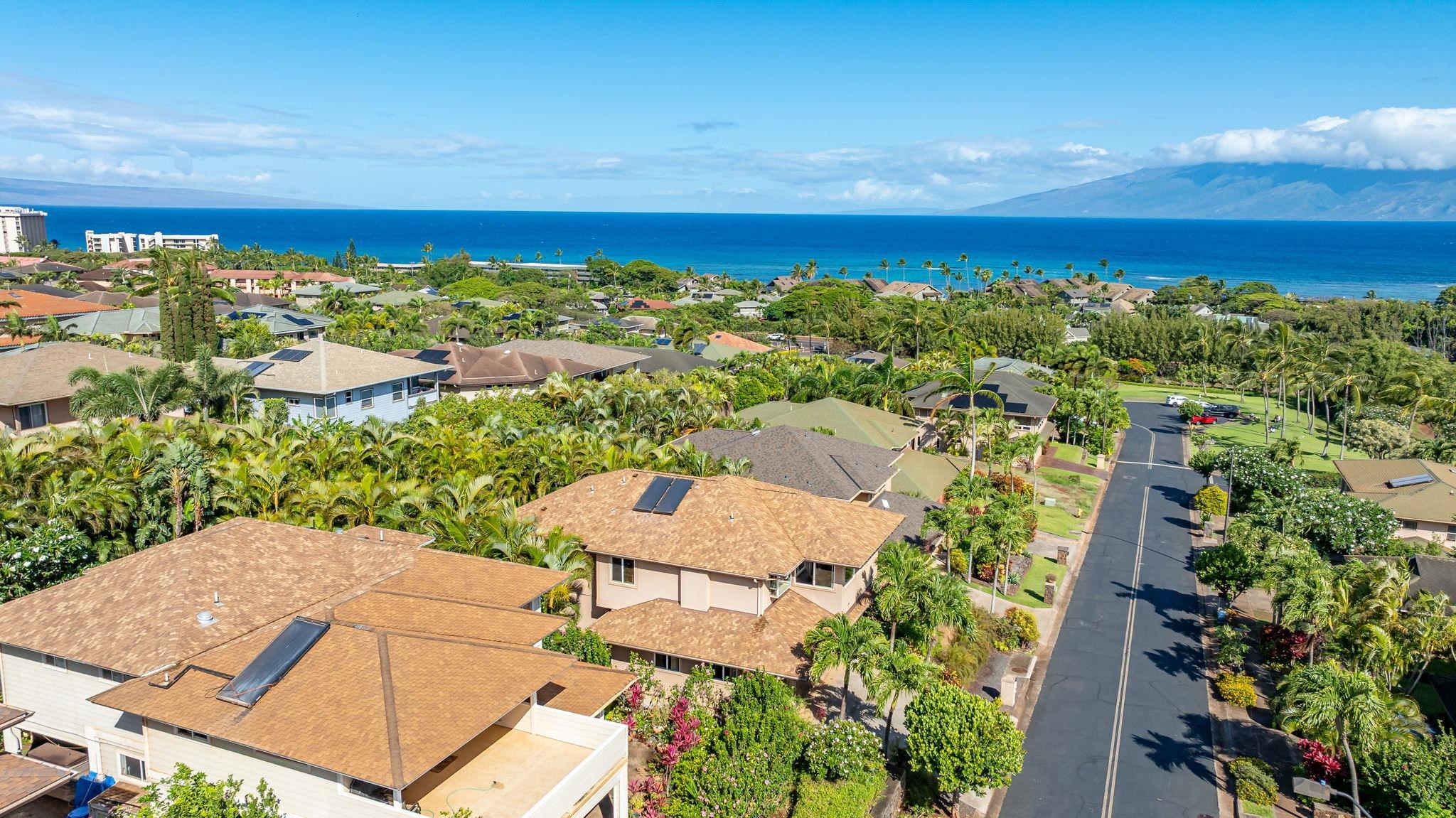 207  Kahana Ridge Dr Kahana Ridge, Napili/Kahana/Honokowai home - photo 49 of 50