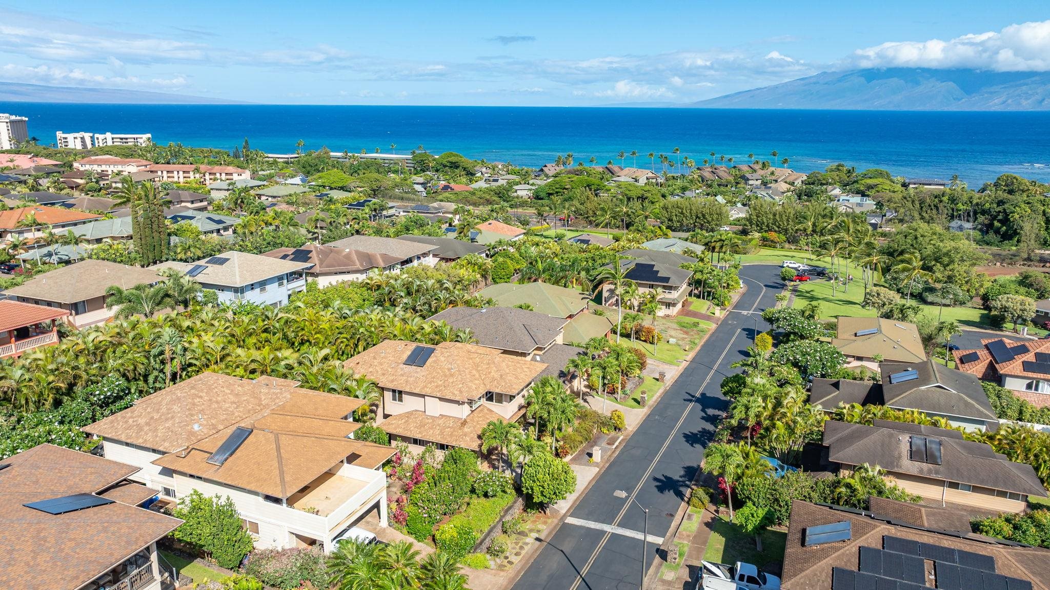 207  Kahana Ridge Dr Kahana Ridge, Napili/Kahana/Honokowai home - photo 50 of 50