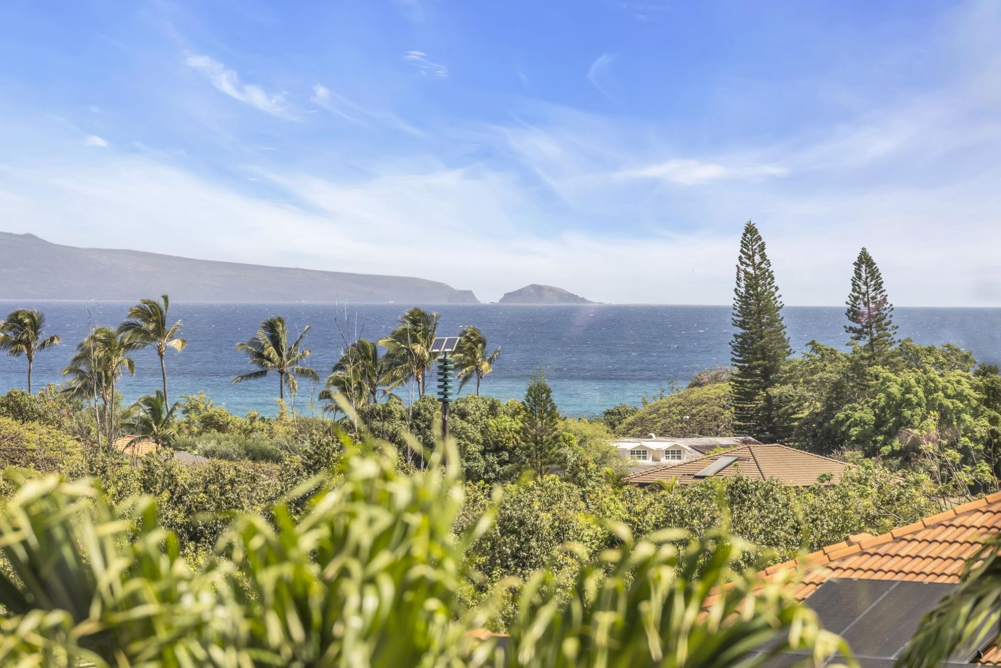 207  Kahana Ridge Dr Kahana Ridge, Napili/Kahana/Honokowai home - photo 10 of 50