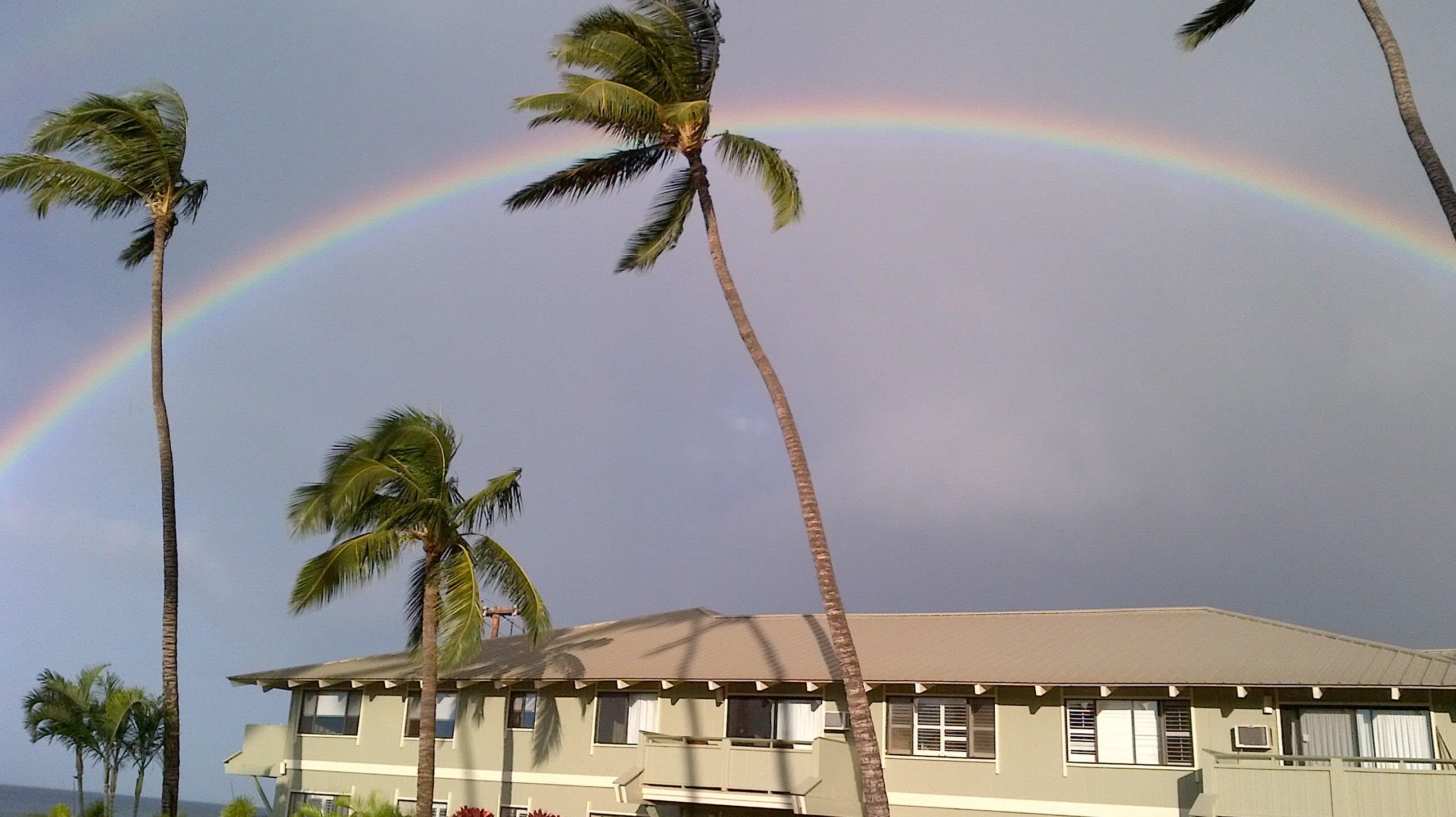 Shores of Maui condo # 207, Kihei, Hawaii - photo 42 of 43