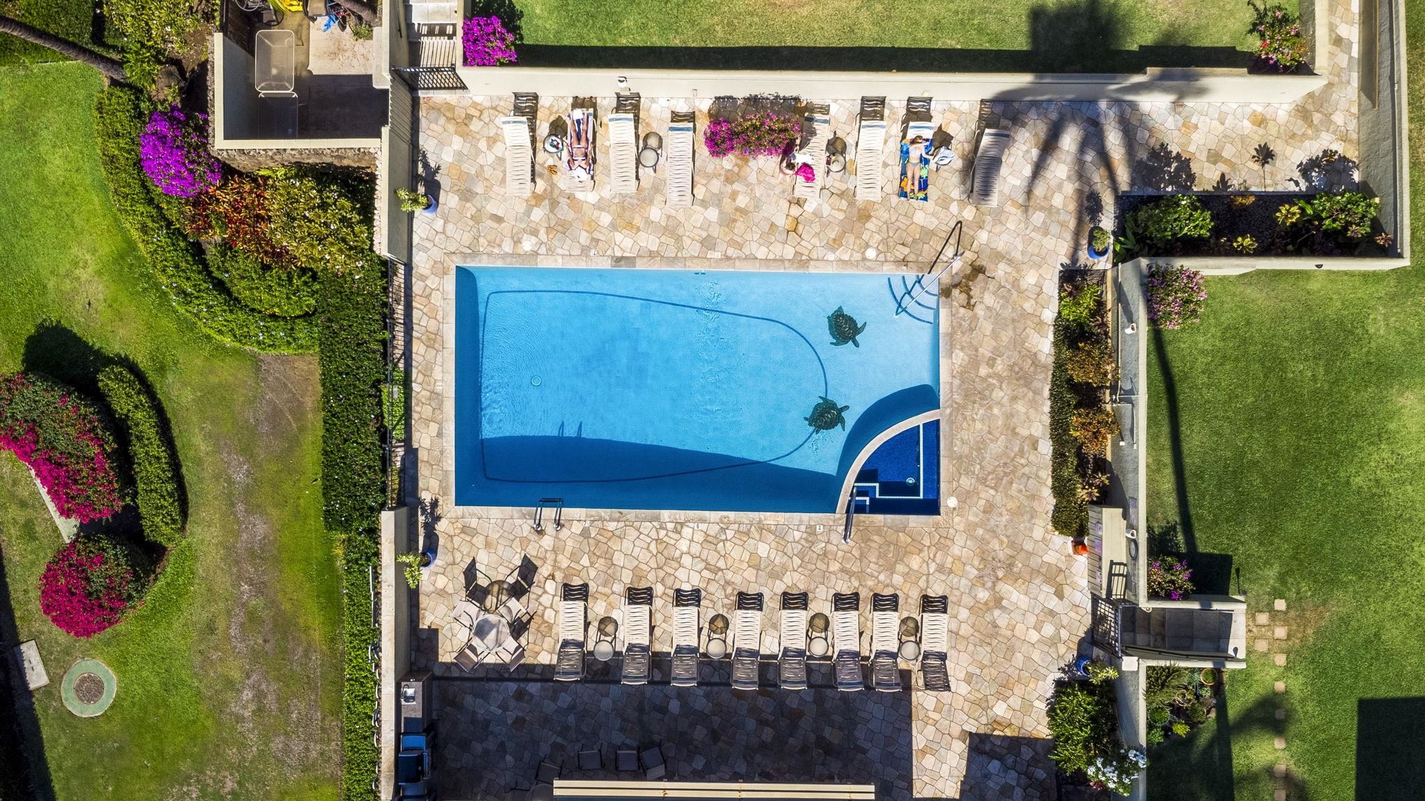 Shores of Maui condo # 214, Kihei, Hawaii - photo 40 of 50