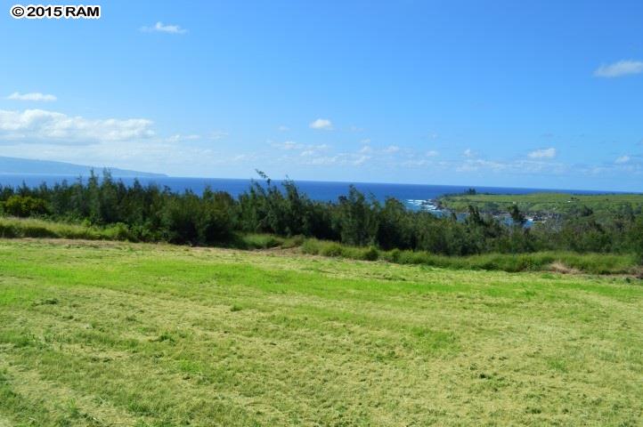 209 Plantation Club Dr  Lahaina, Hi vacant land for sale - photo 4 of 9