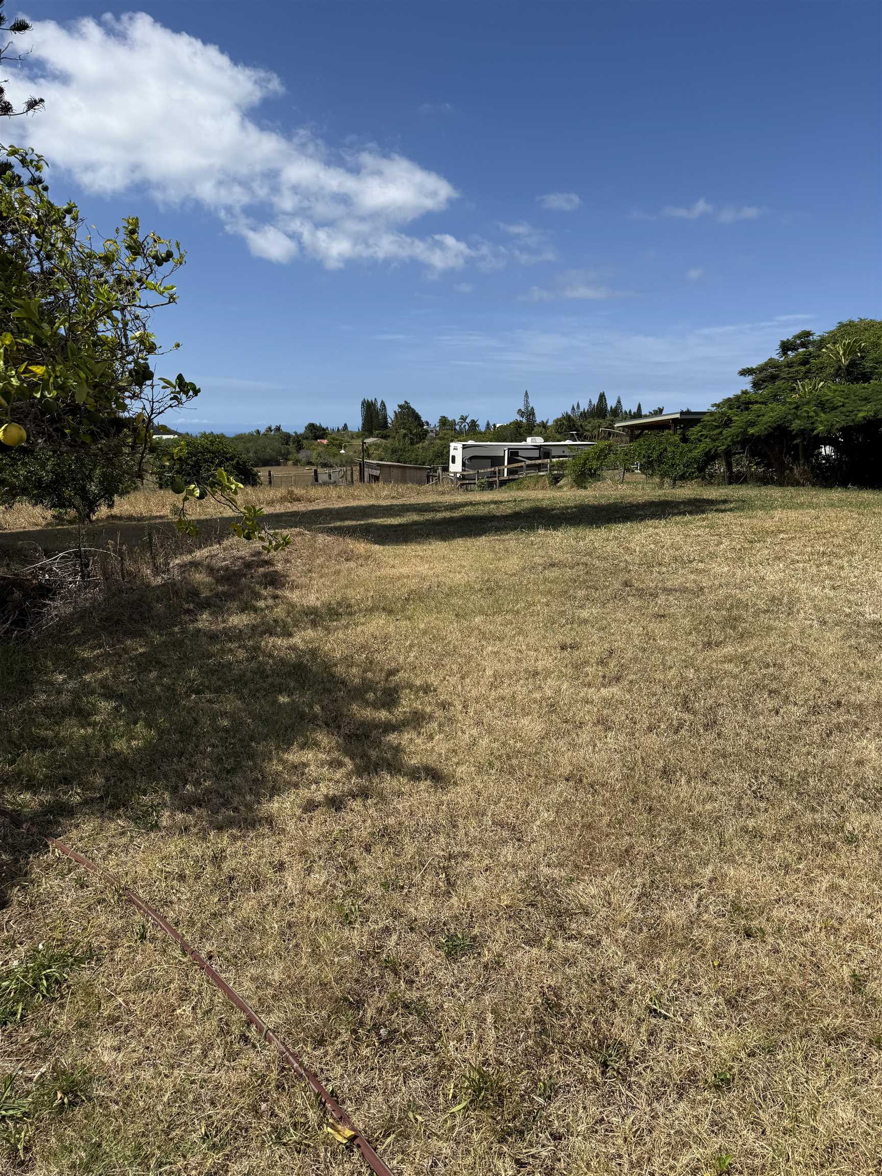 2095  Lilikoi Rd , Haiku home - photo 15 of 27