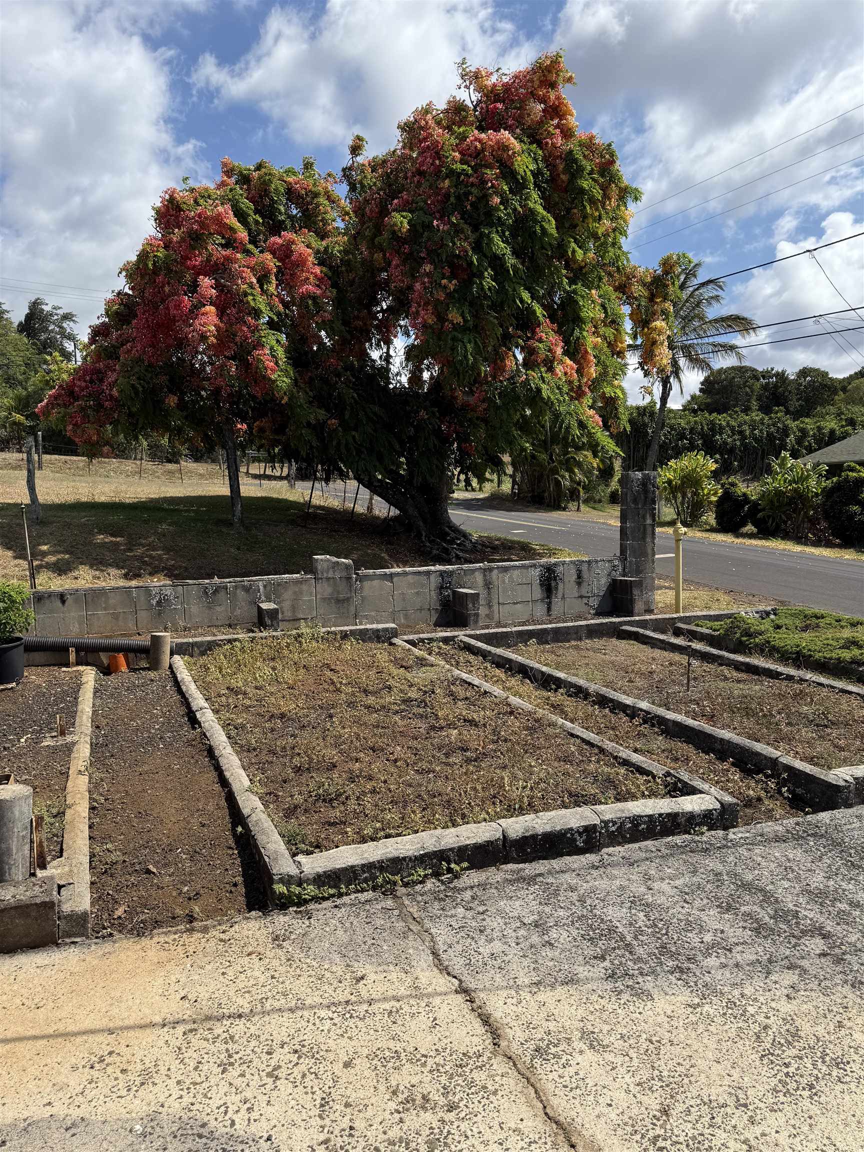 2095  Lilikoi Rd , Haiku home - photo 16 of 27