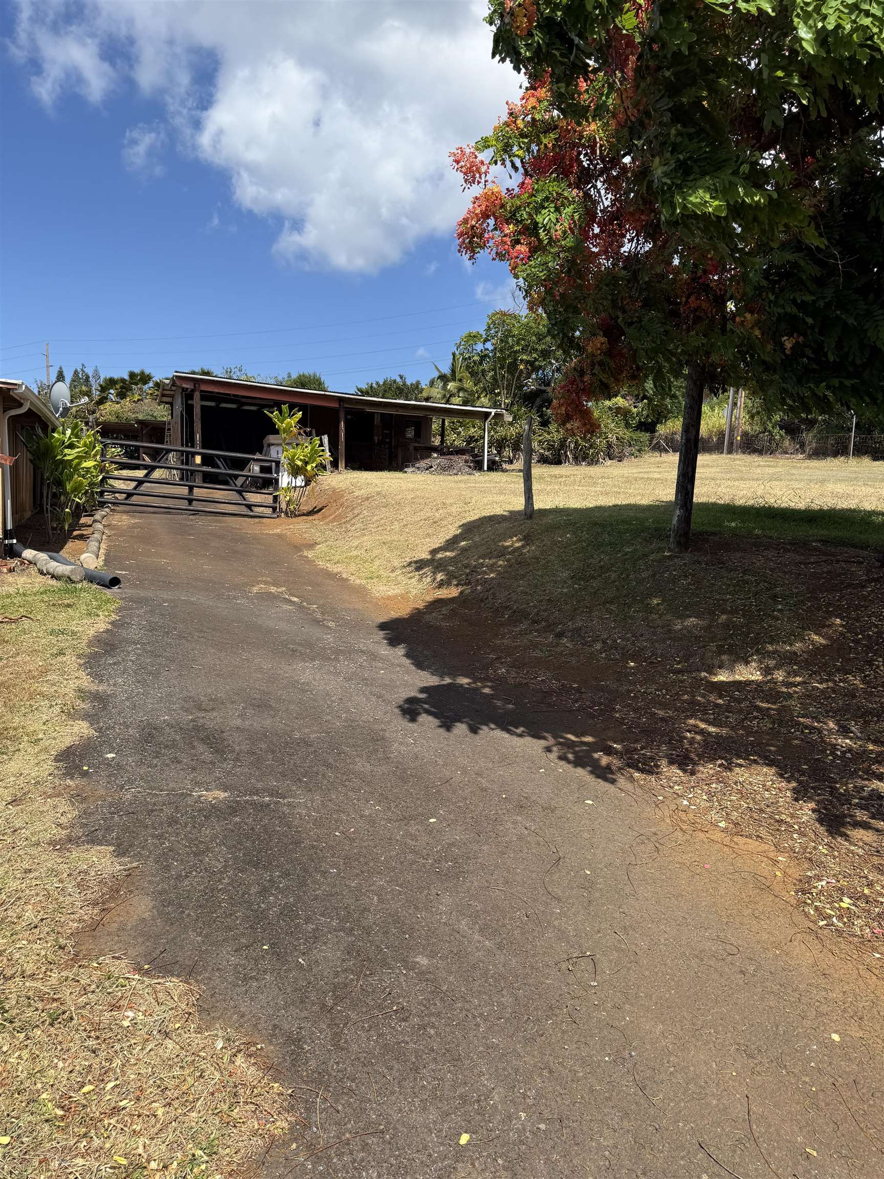 2095  Lilikoi Rd , Haiku home - photo 17 of 27