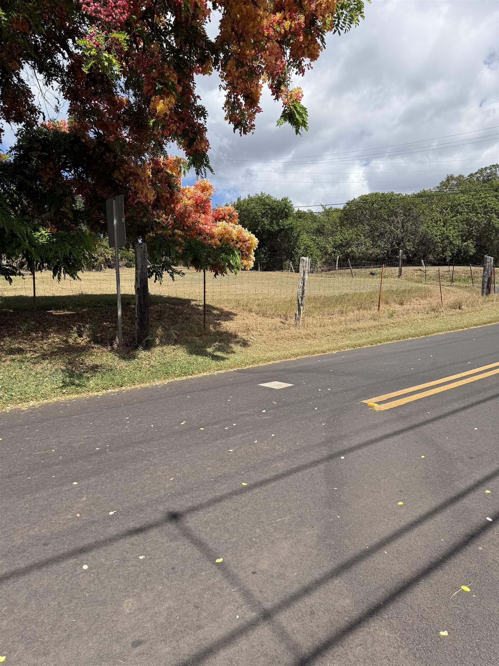 2095  Lilikoi Rd , Haiku home - photo 18 of 27